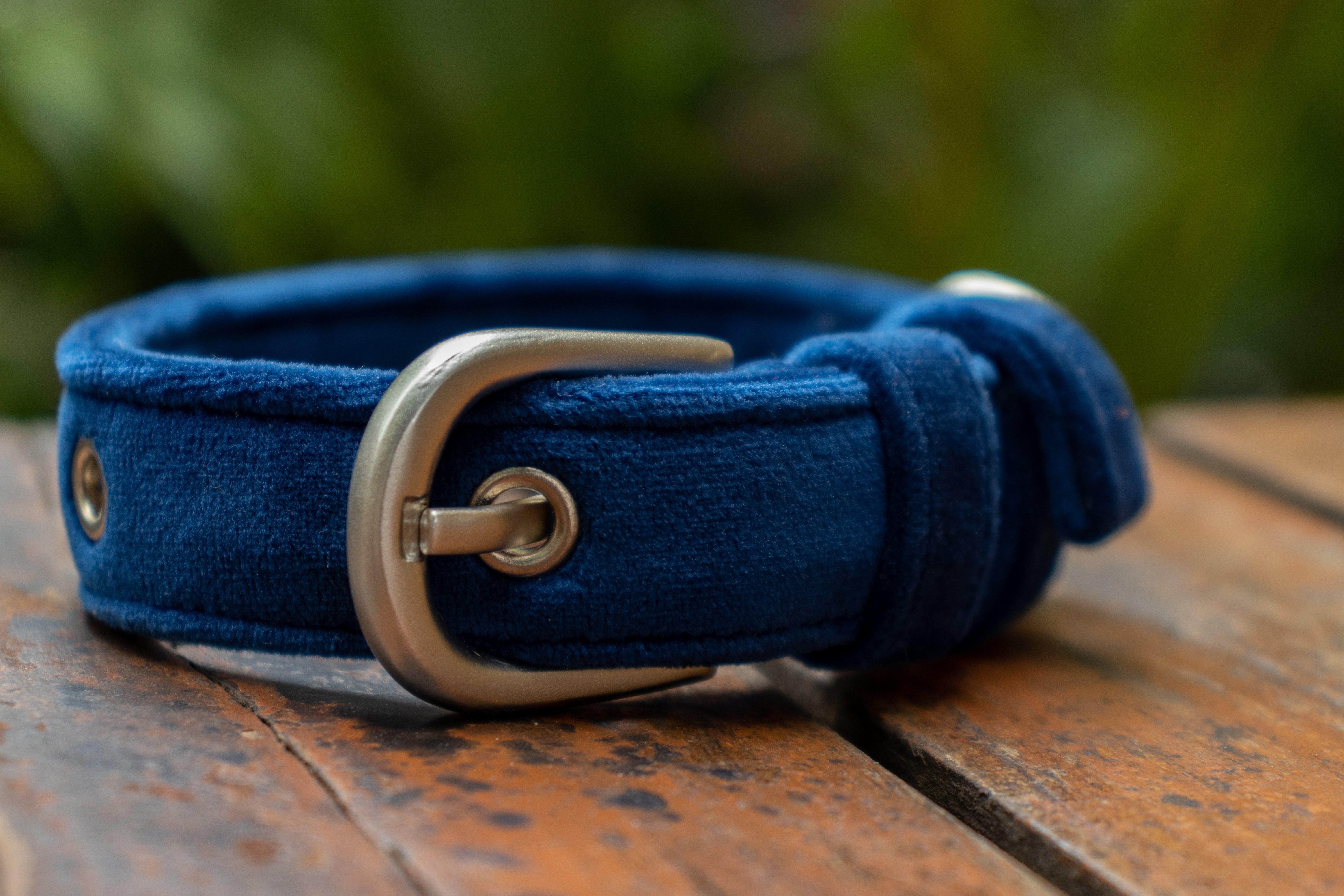 Suede Collar by pAww! – image 6