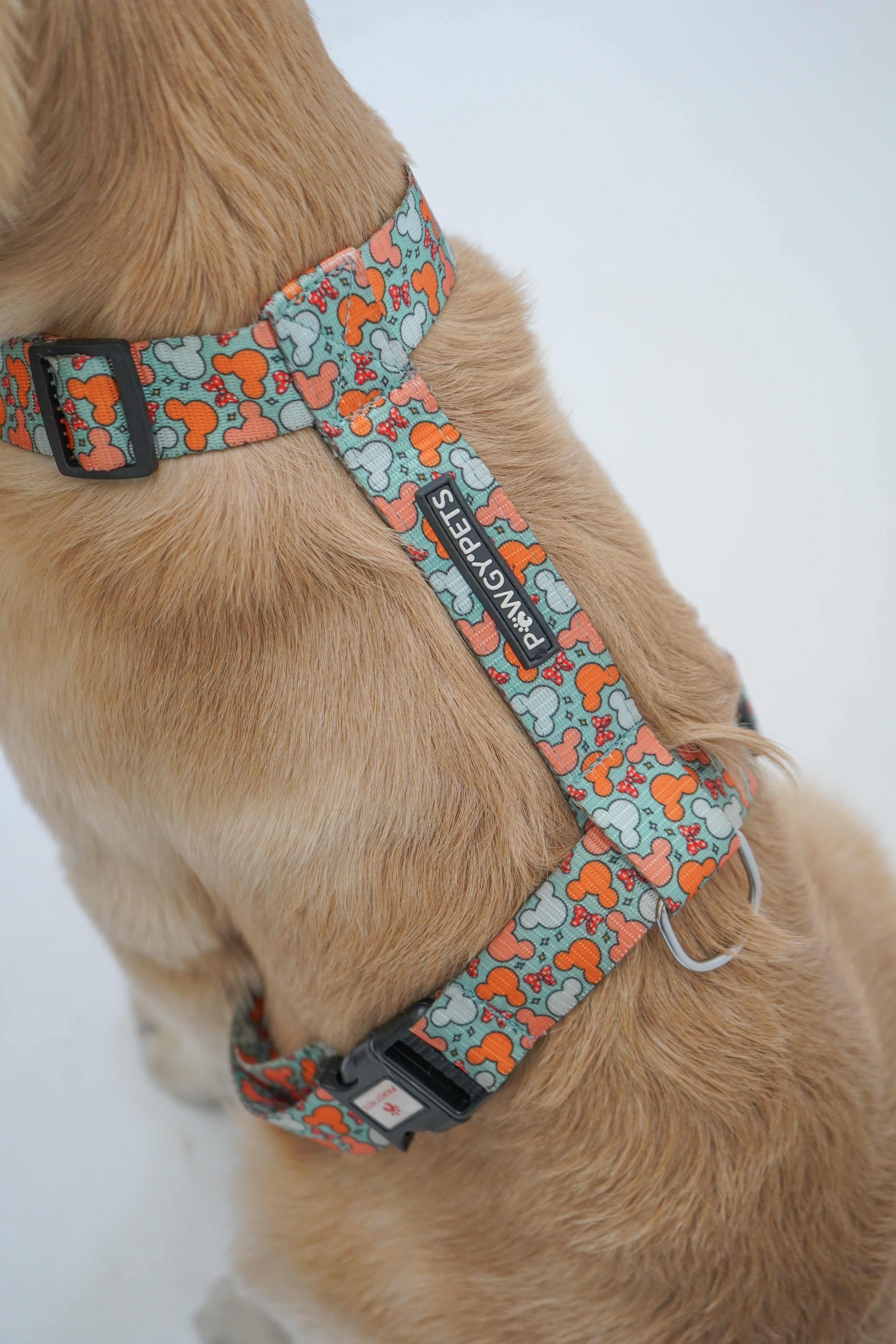 Pawgy Pets H-Harness Mickey Pastel Green for Dogs and Cats – image 3