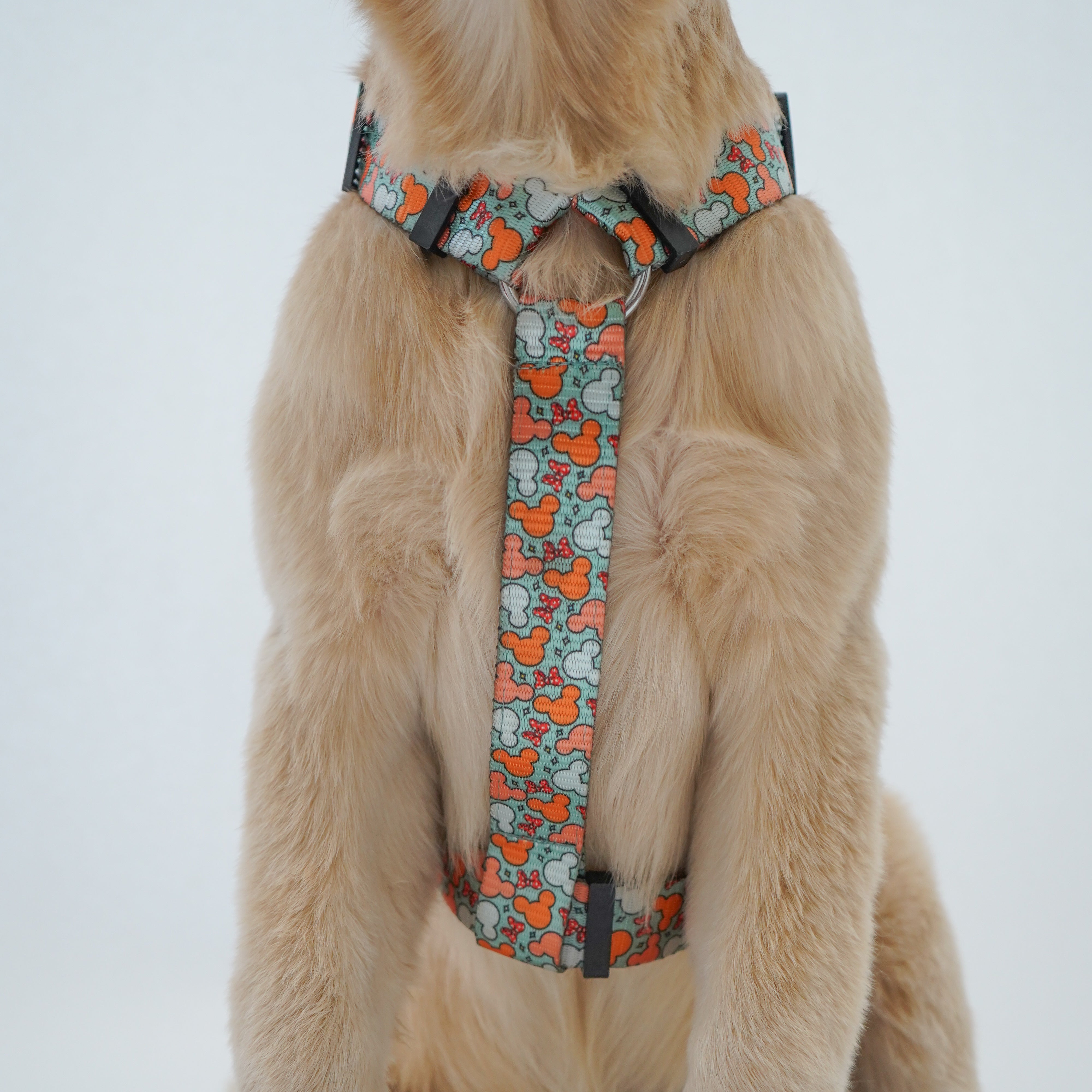Pawgy Pets H-Harness Mickey Pastel Green for Dogs and Cats – image 2
