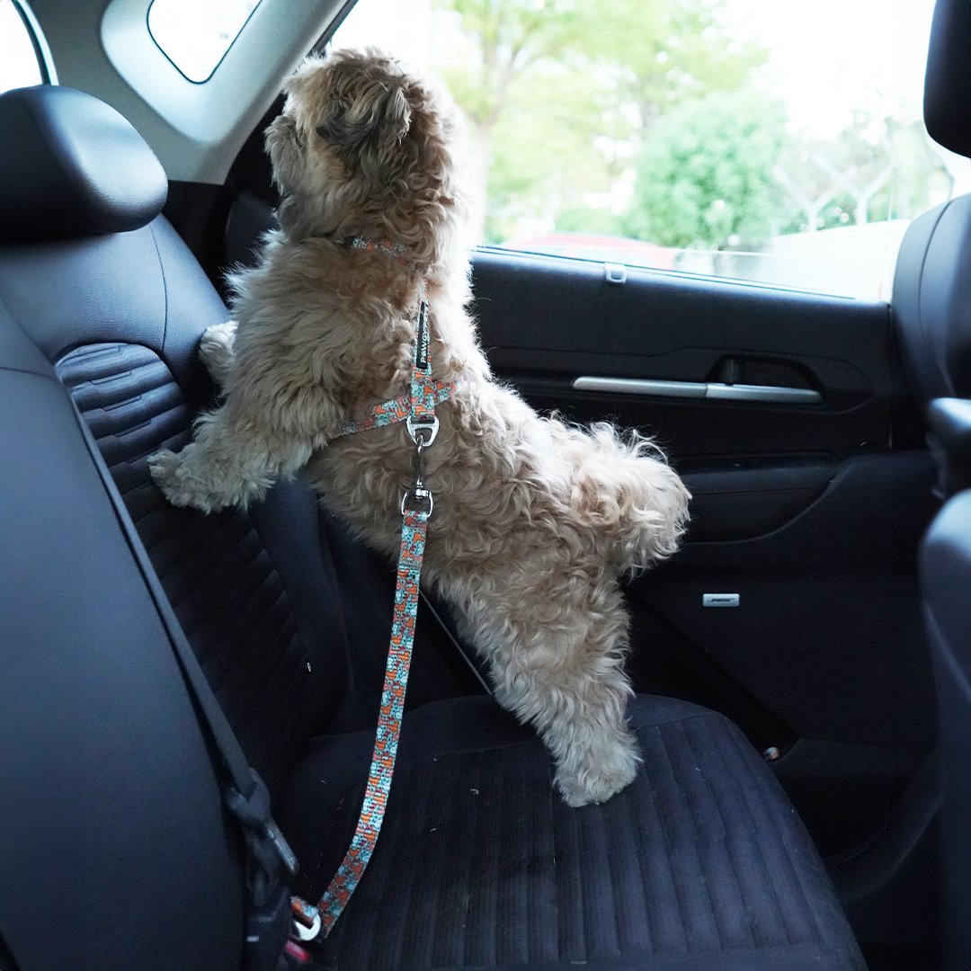 Pawgy Pets Car Leash for Dogs and Cats – image 2