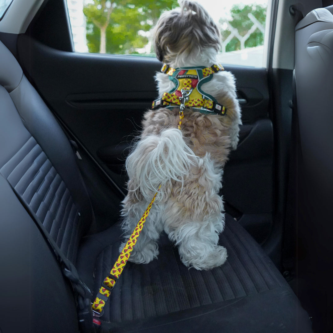 Pawgy Pets Car Leash for Dogs and Cats – image 7