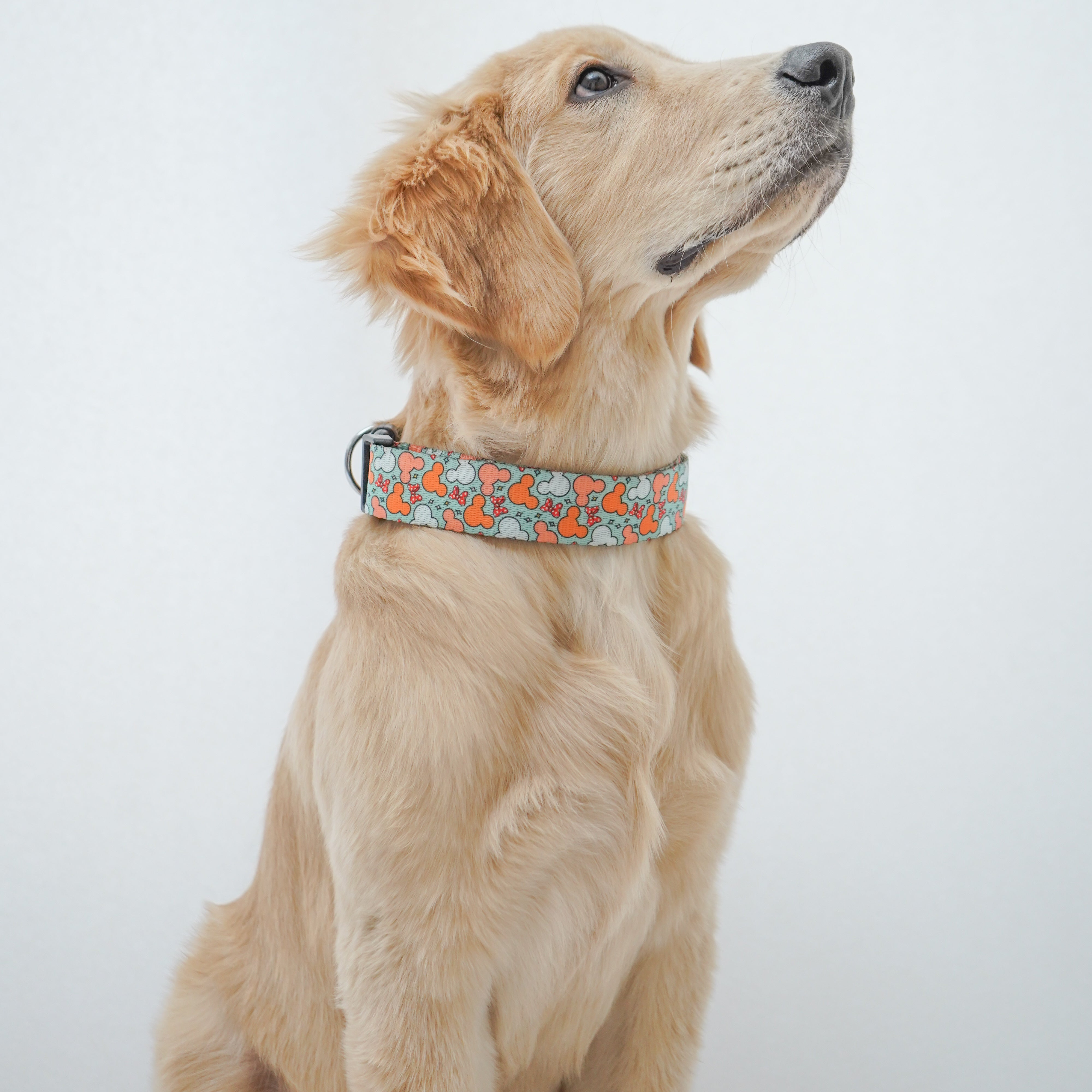 Pawgy Pets Collar Mickey Pastel Green for Dogs and Cats – image 2