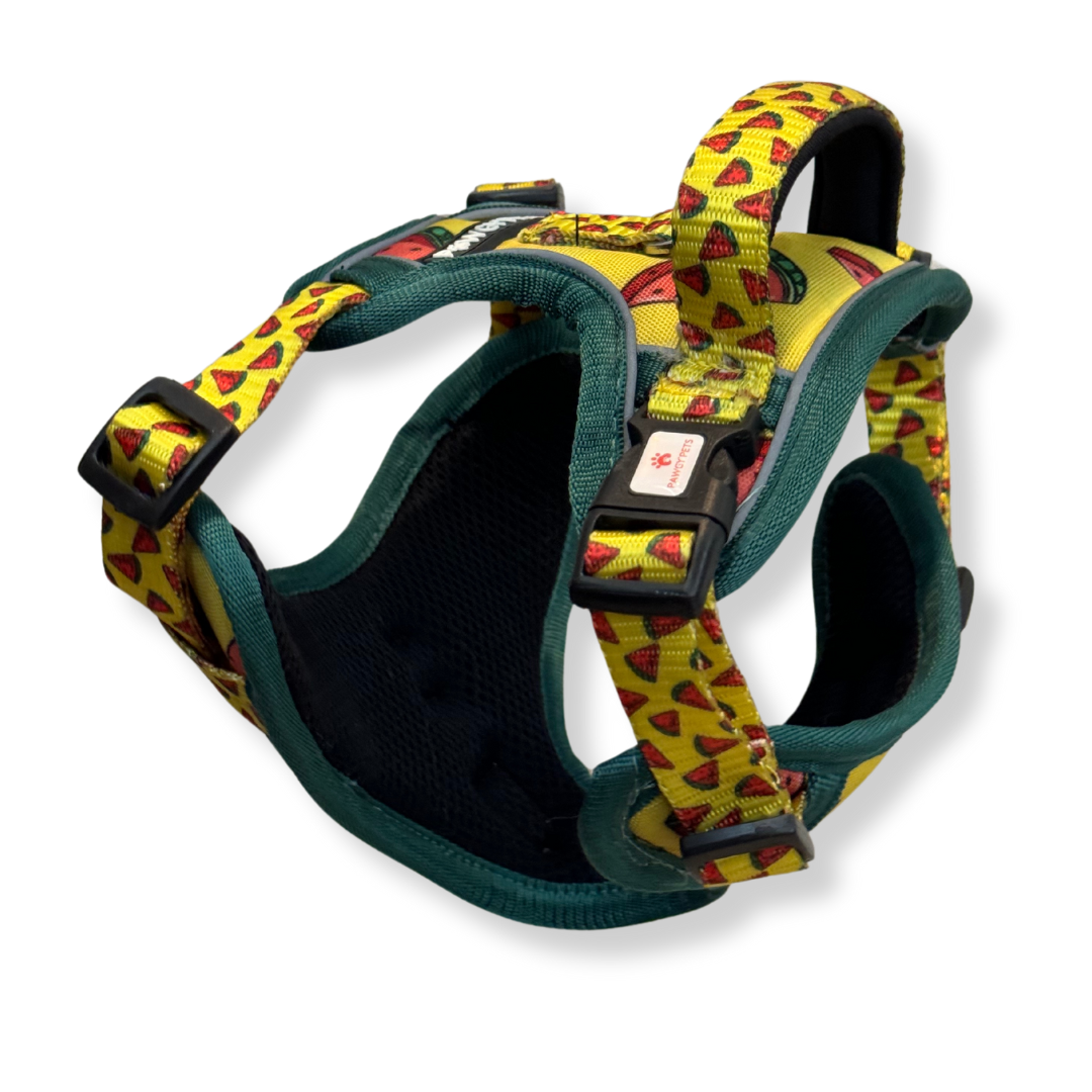 Pawgy Pets Padded Harness Watermelon – image 5