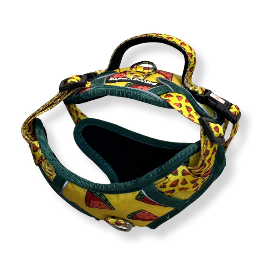 Pawgy Pets Padded Harness Watermelon – image 6