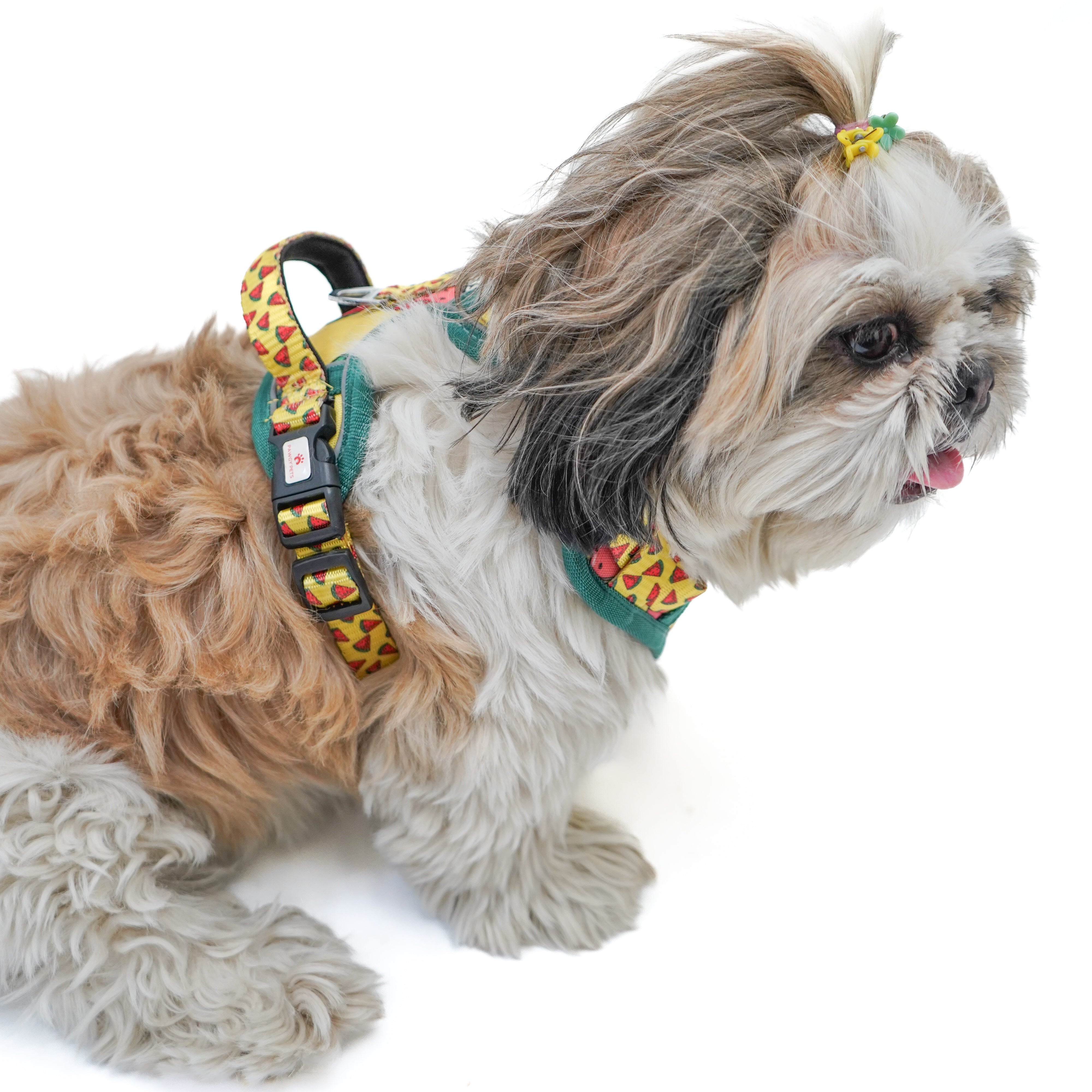 Pawgy Pets Padded Harness Watermelon – image 3