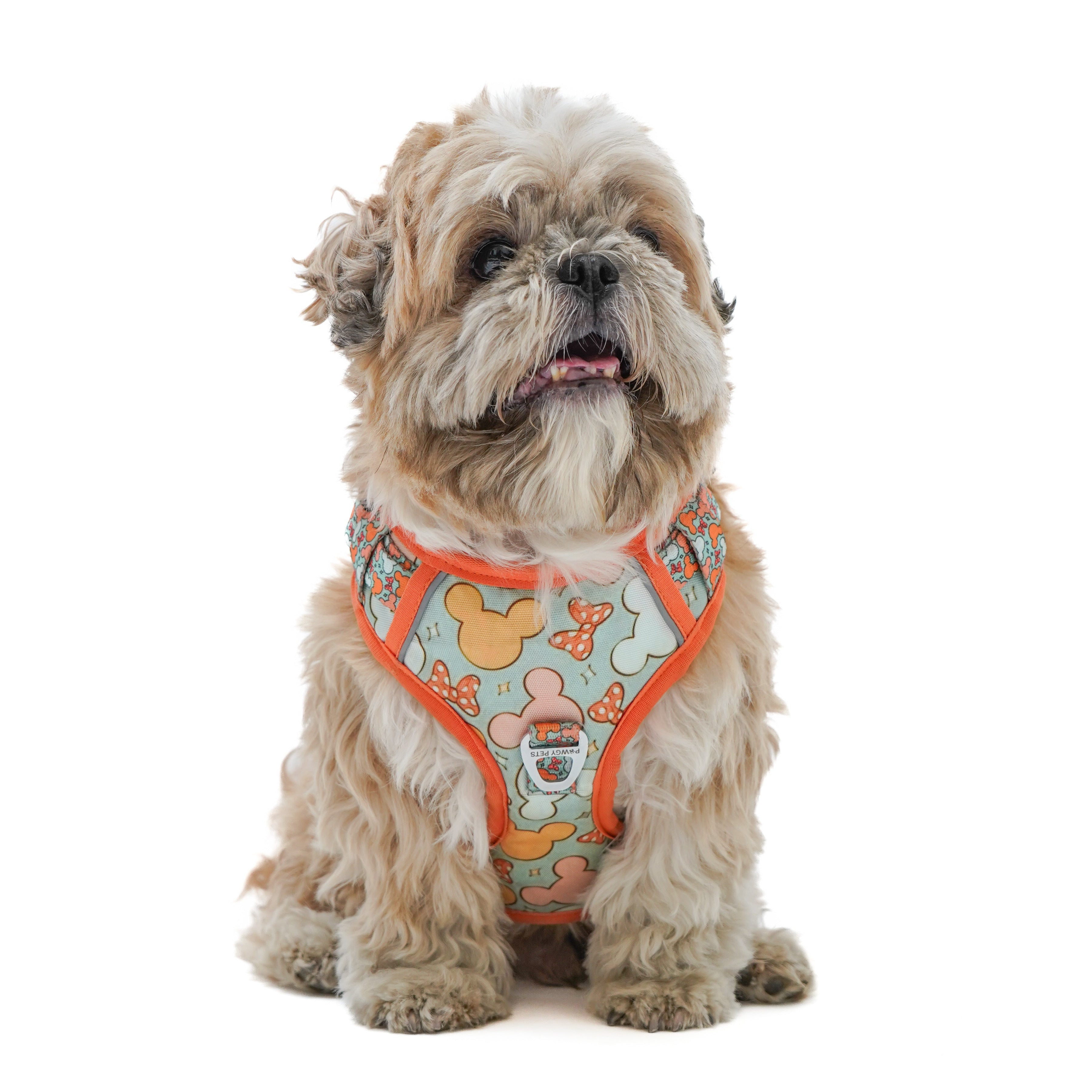 Pawgy Pets Padded Harness Mickey – image 2