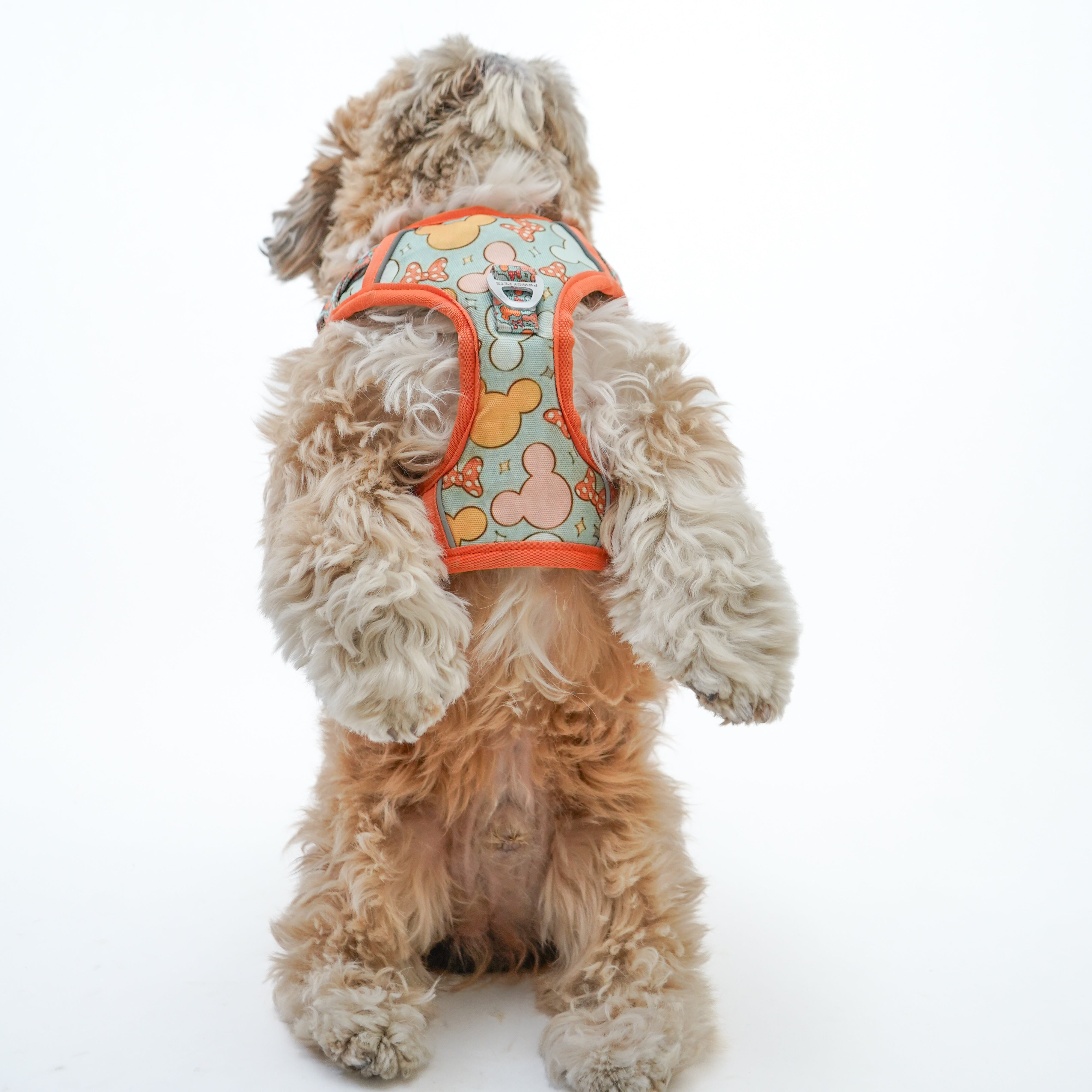Pawgy Pets Padded Harness Mickey – image 4