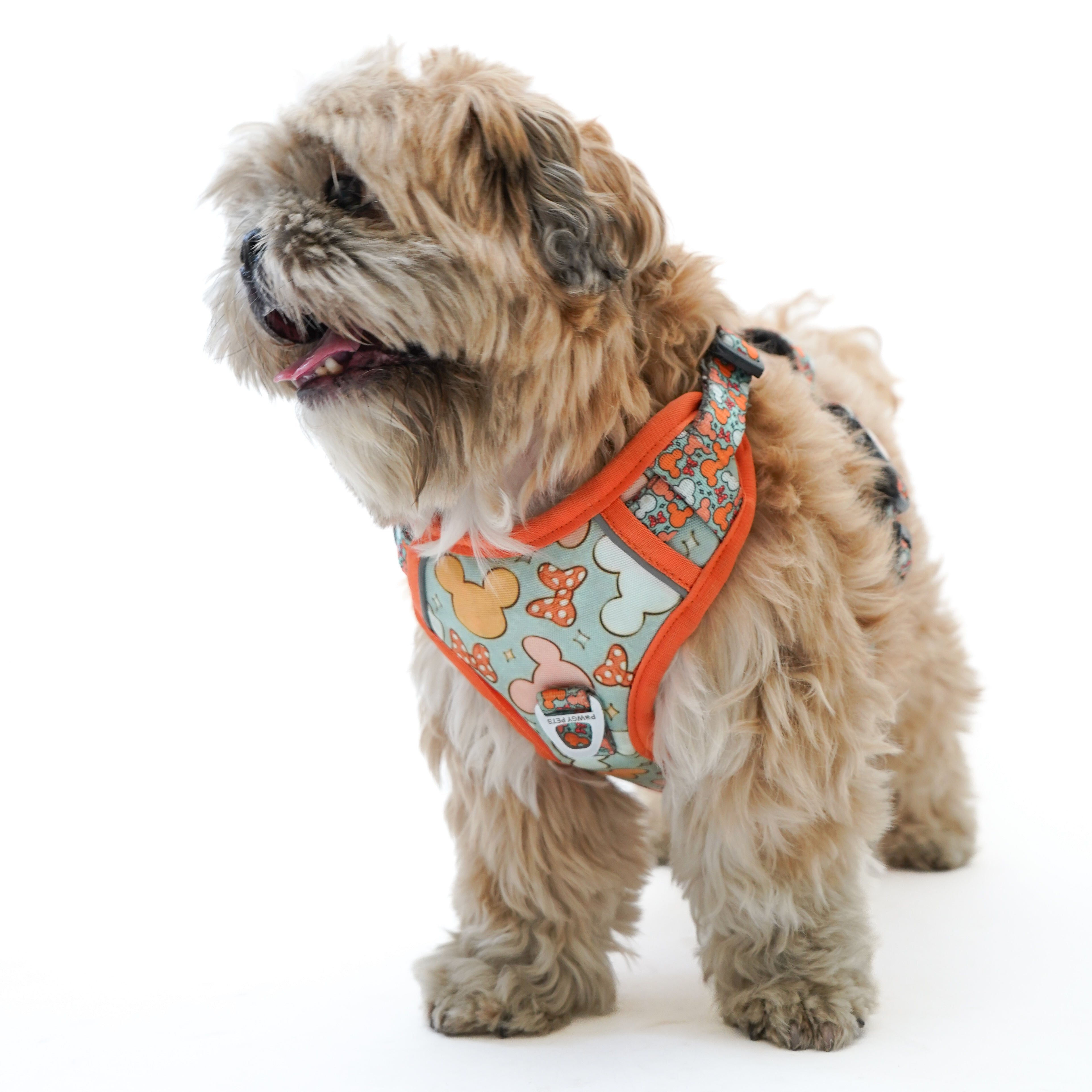 Pawgy Pets Padded Harness Mickey – image 3