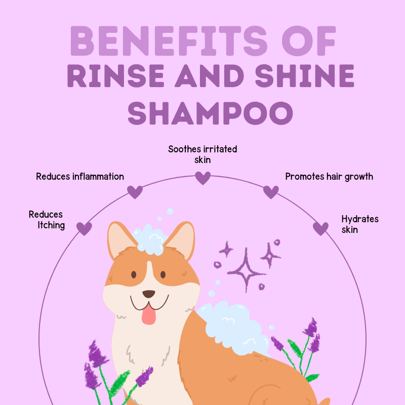 Happy Puppy Organics Rinse and Shine Shampoo – image 4