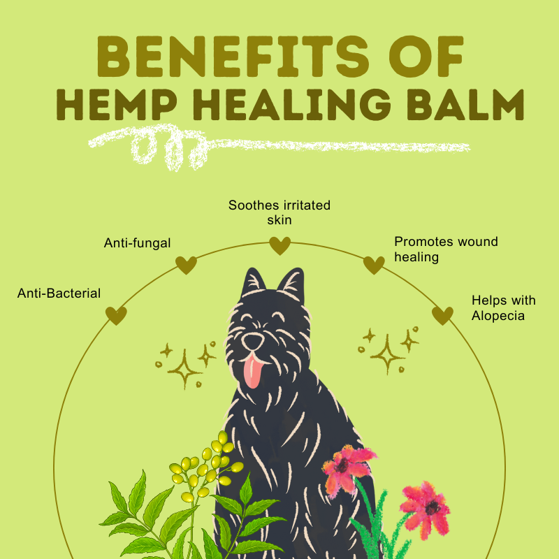 Happy Puppy Organics Hemp Healing Balm – image 3
