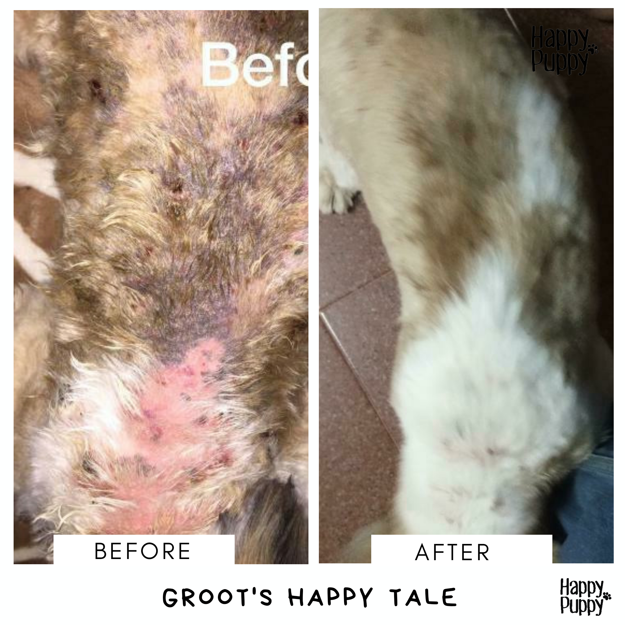 Happy Puppy Organics Hemp Healing Balm – image 4