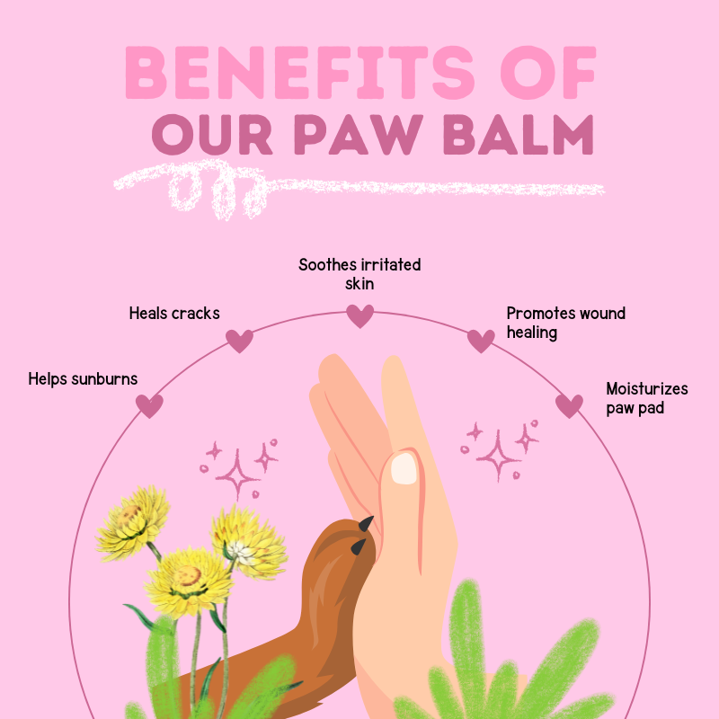 Happy Puppy Organics Paw Balm – image 3