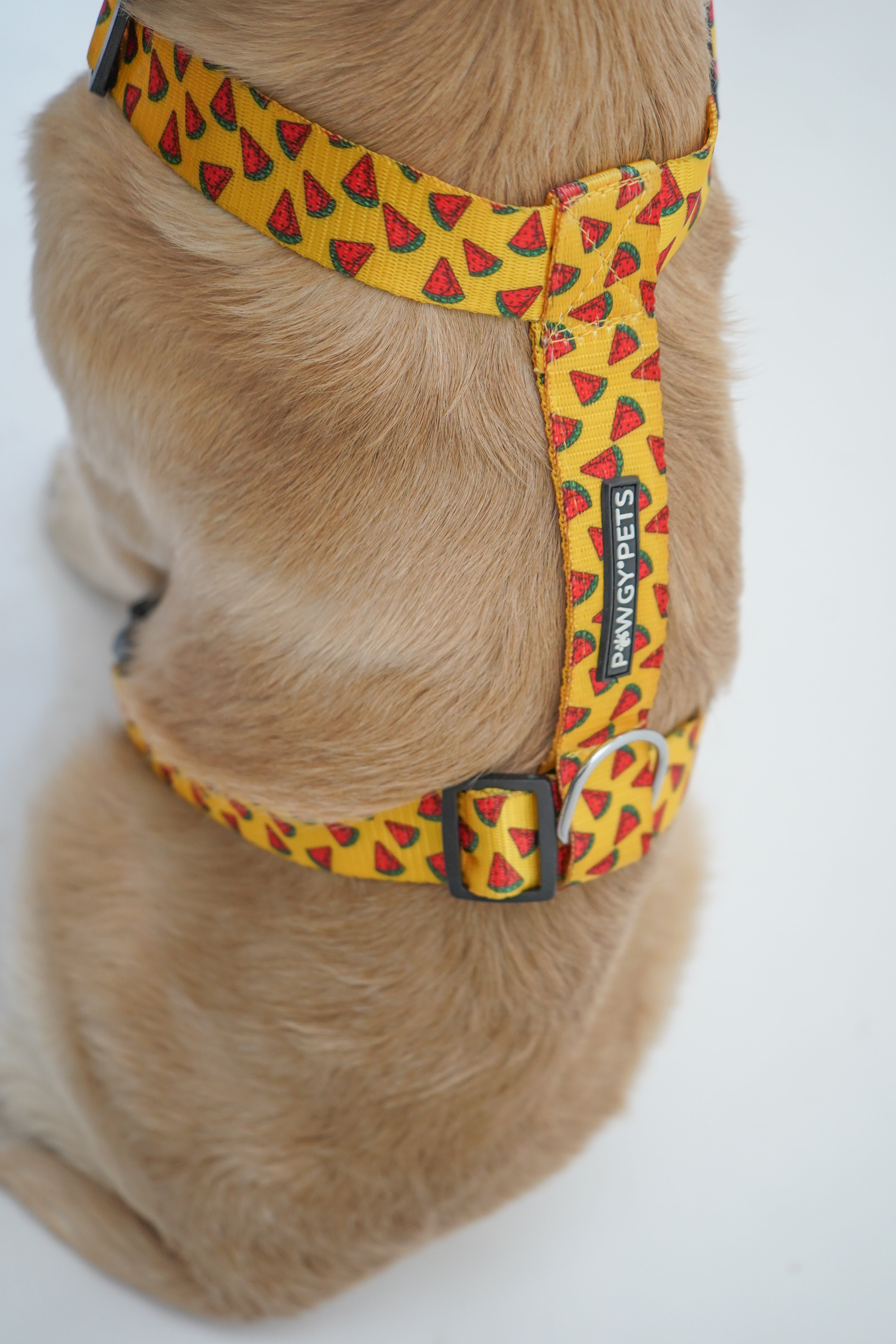 Pawgy Pets H-Harness Watermelon Yellow for Dogs and Cats – image 3