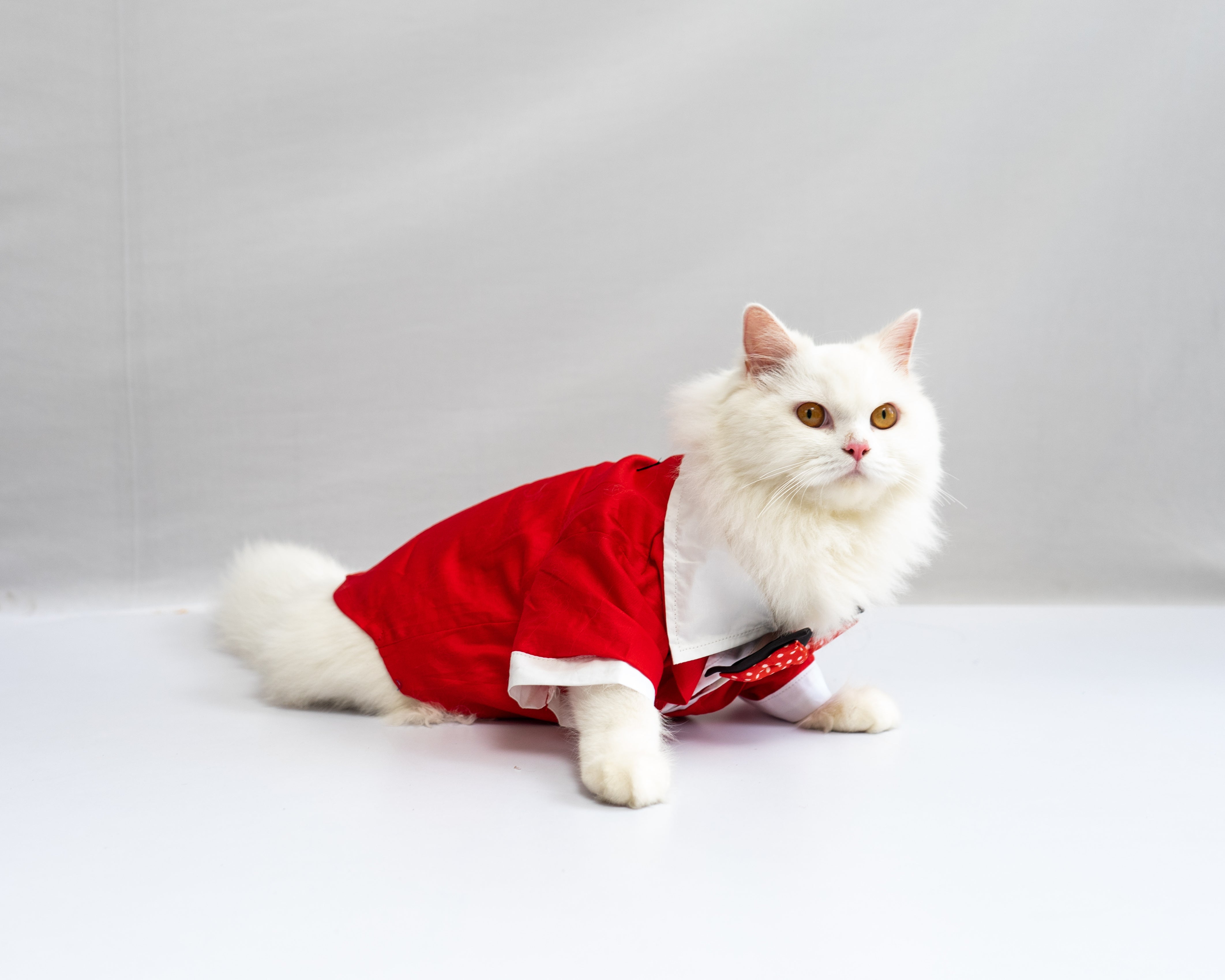 Pawgy Pets Tuxedo: Red for Dogs & Cats – image 5