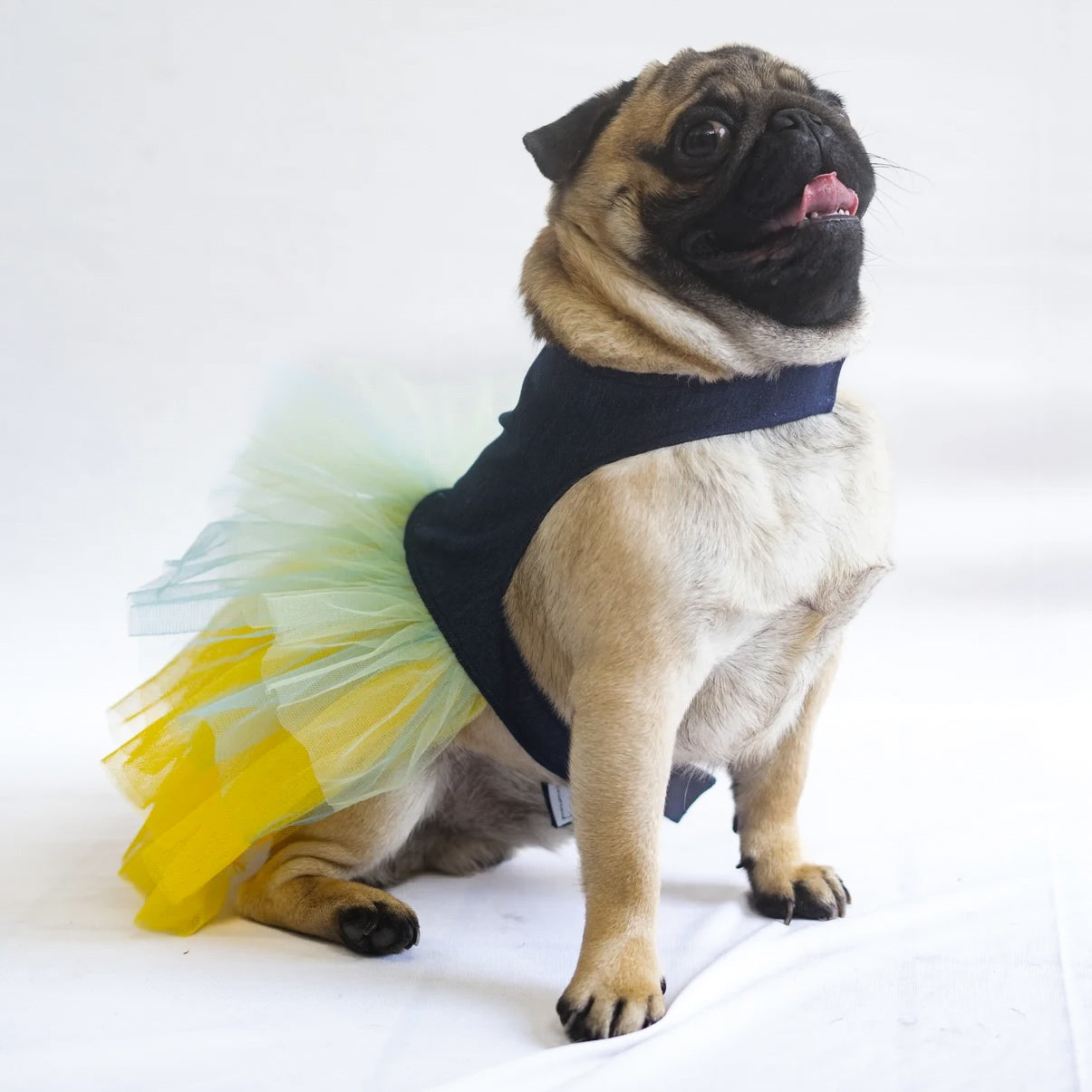 Pawgy Pets Denim Frill Dress for Dogs – image 2