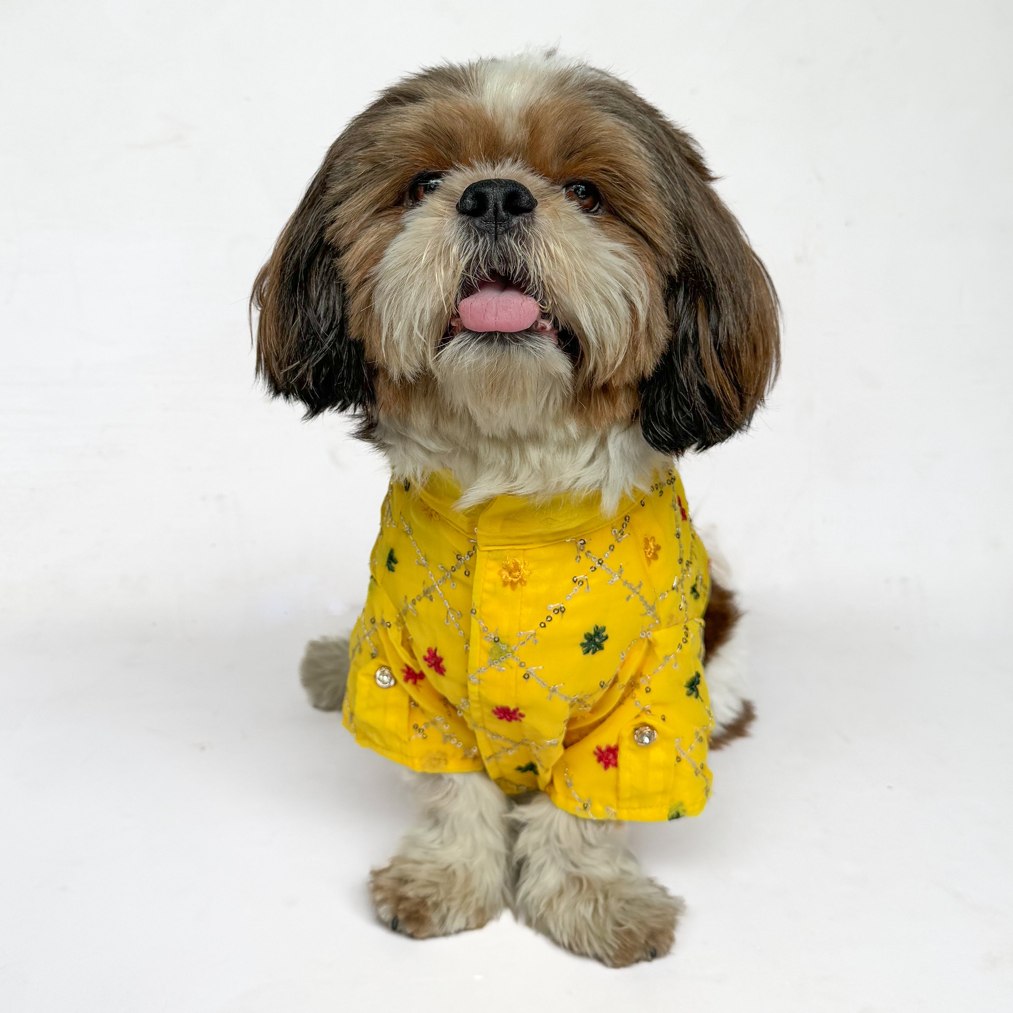Pawgy Pets Festive Shirt Yellow for Dogs – image 3