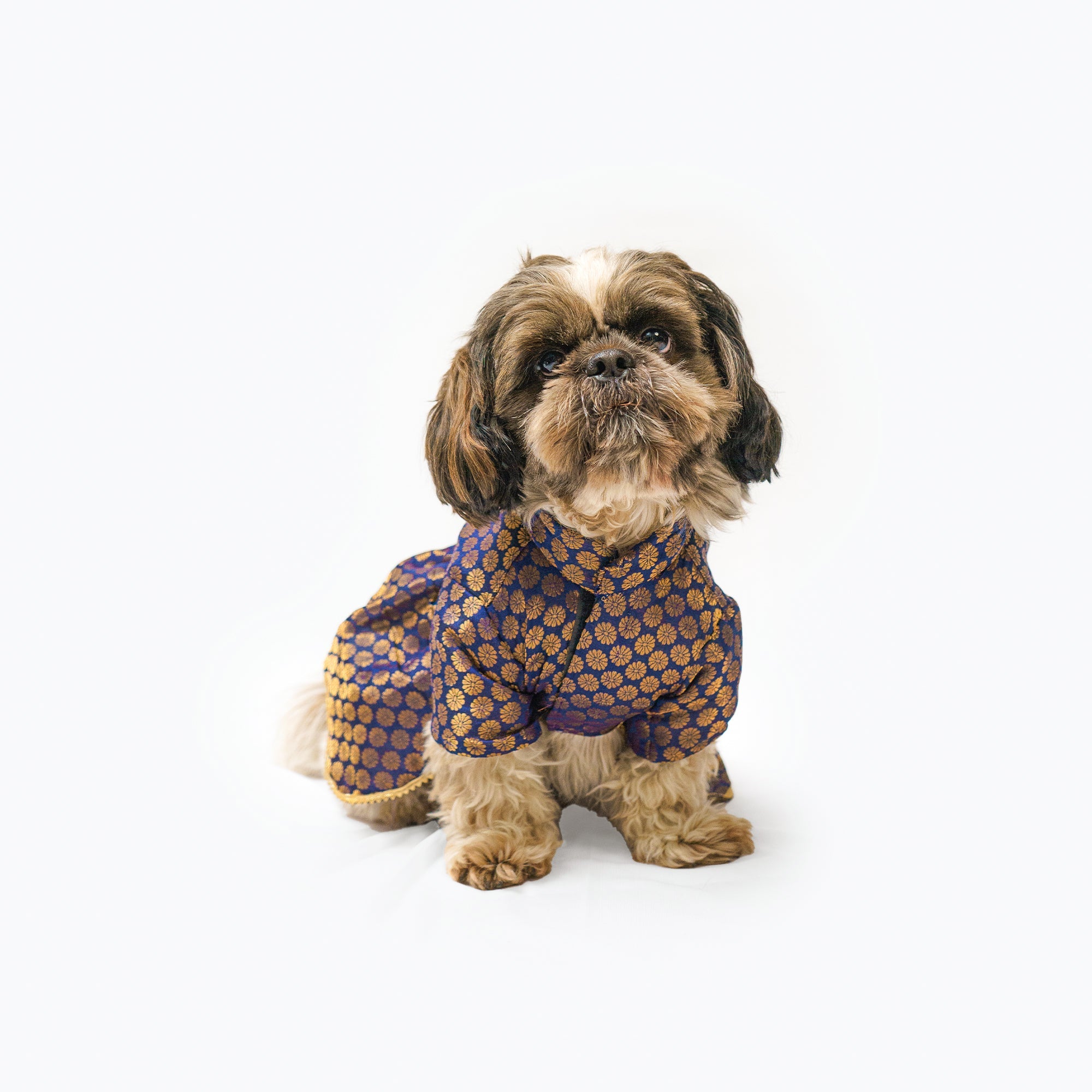 Pawgy Pets Occasion Wear Dress Navy for Dogs – image 2
