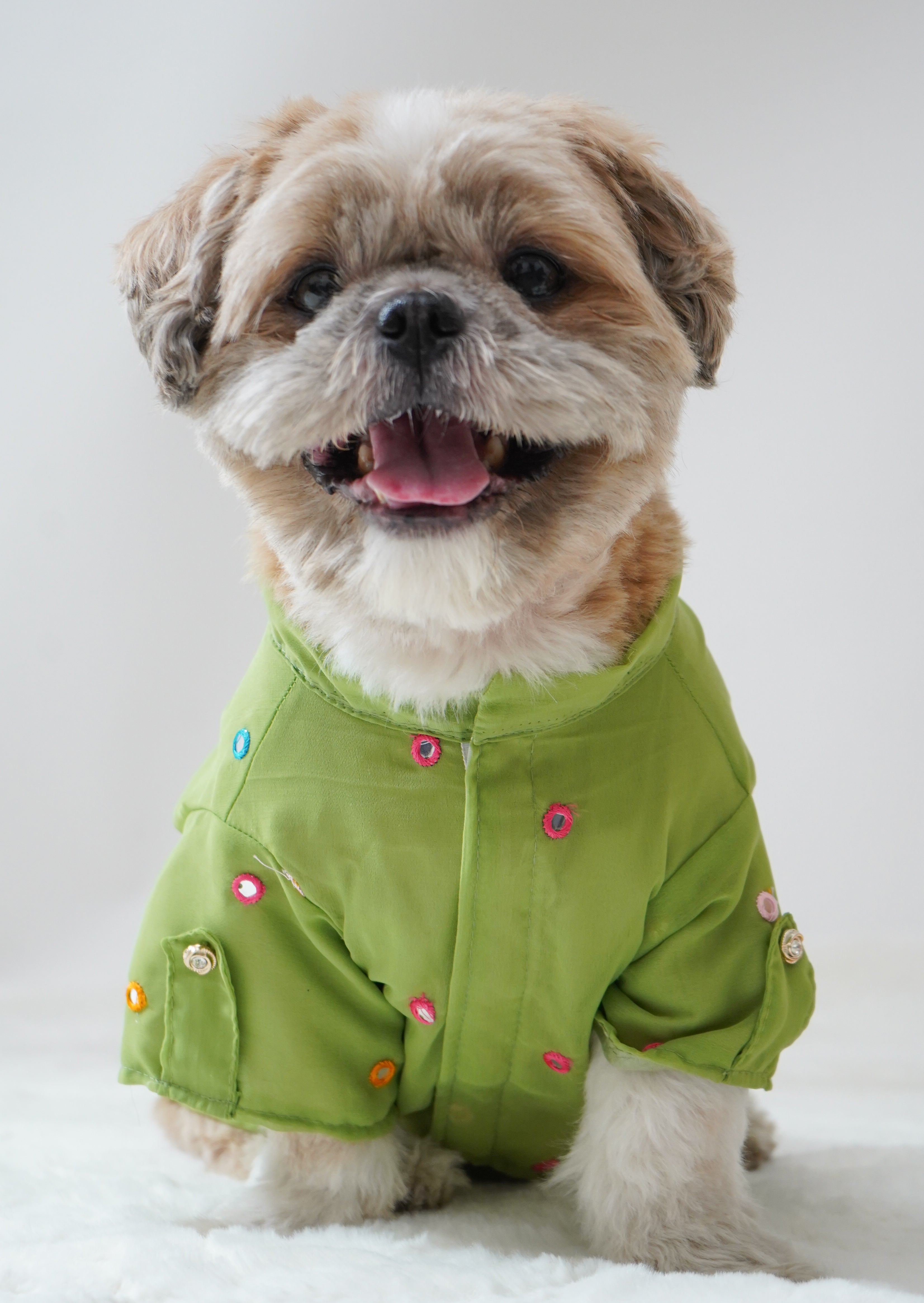 Pawgy Pets Festive Shirt Pista Green for Dogs – image 2