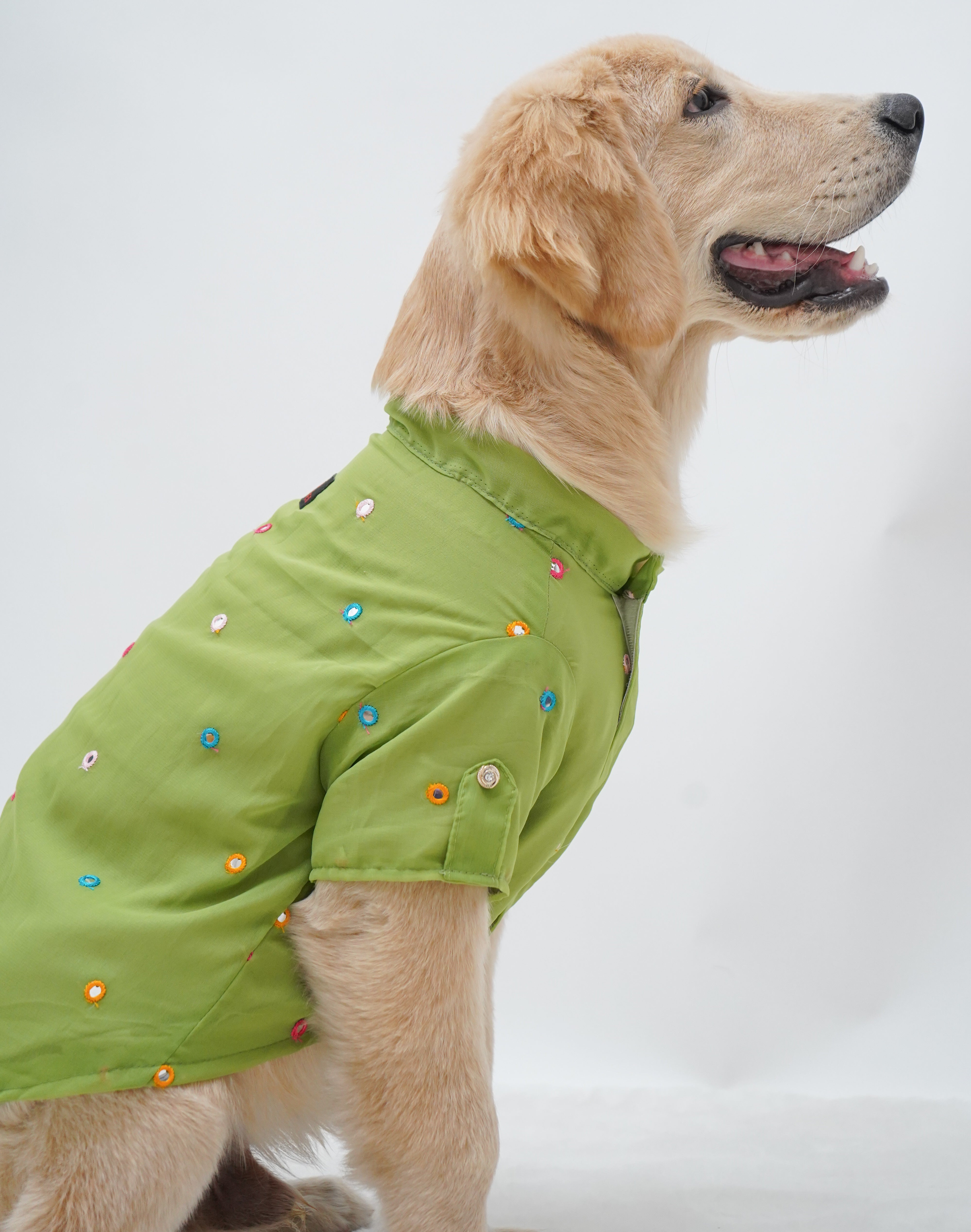 Pawgy Pets Festive Shirt Pista Green for Dogs – image 5