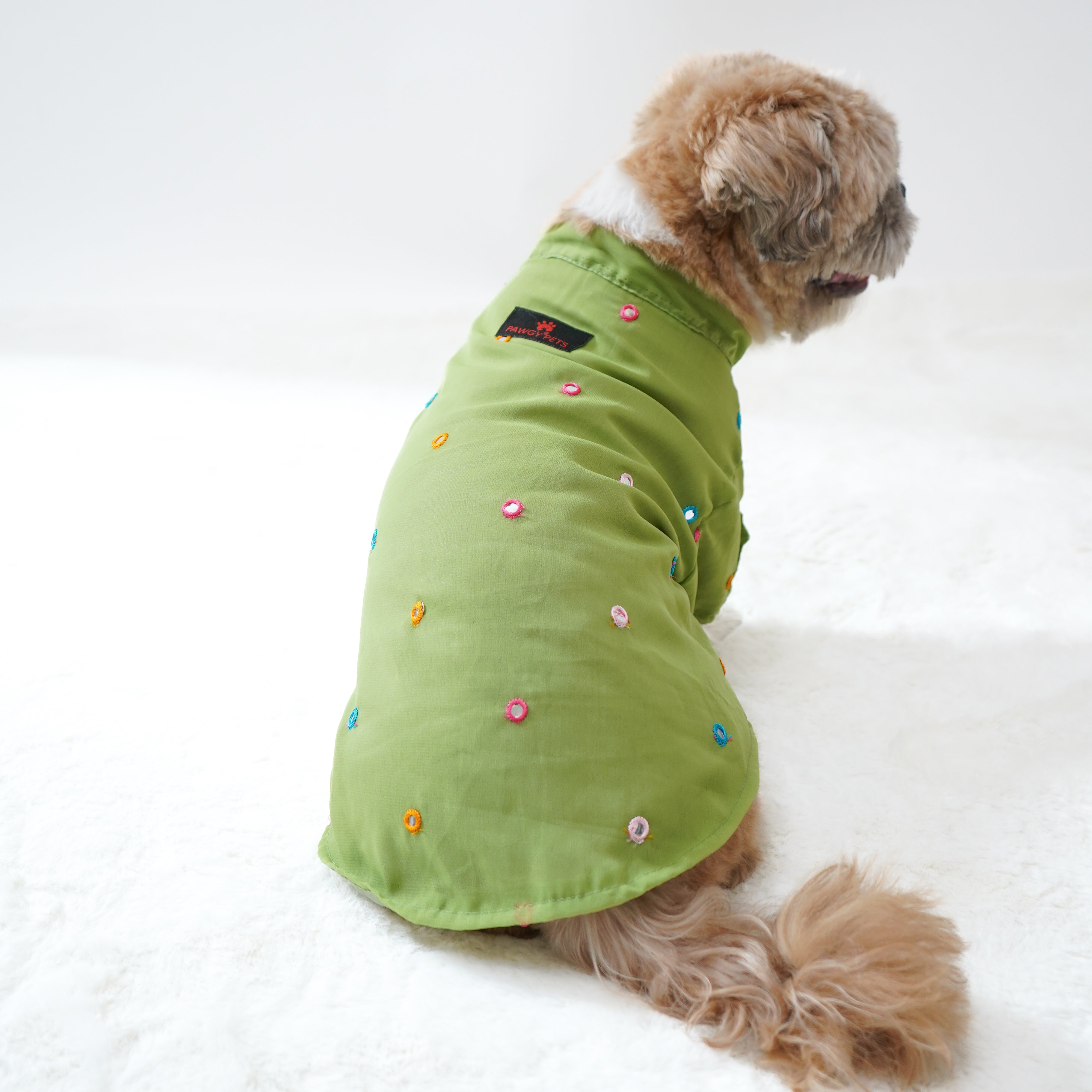 Pawgy Pets Festive Shirt Pista Green for Dogs – image 3