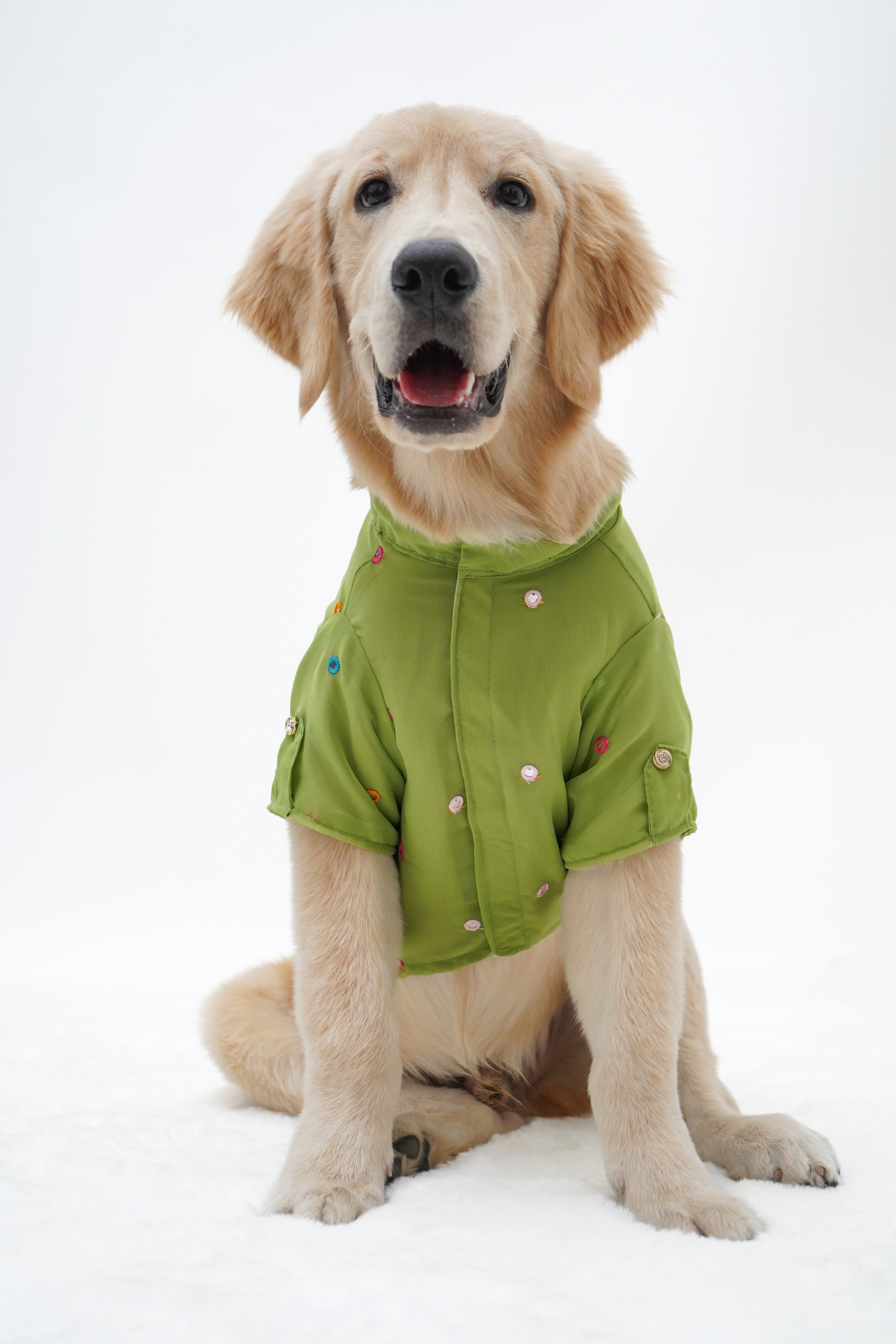 Pawgy Pets Festive Shirt Pista Green for Dogs – image 4
