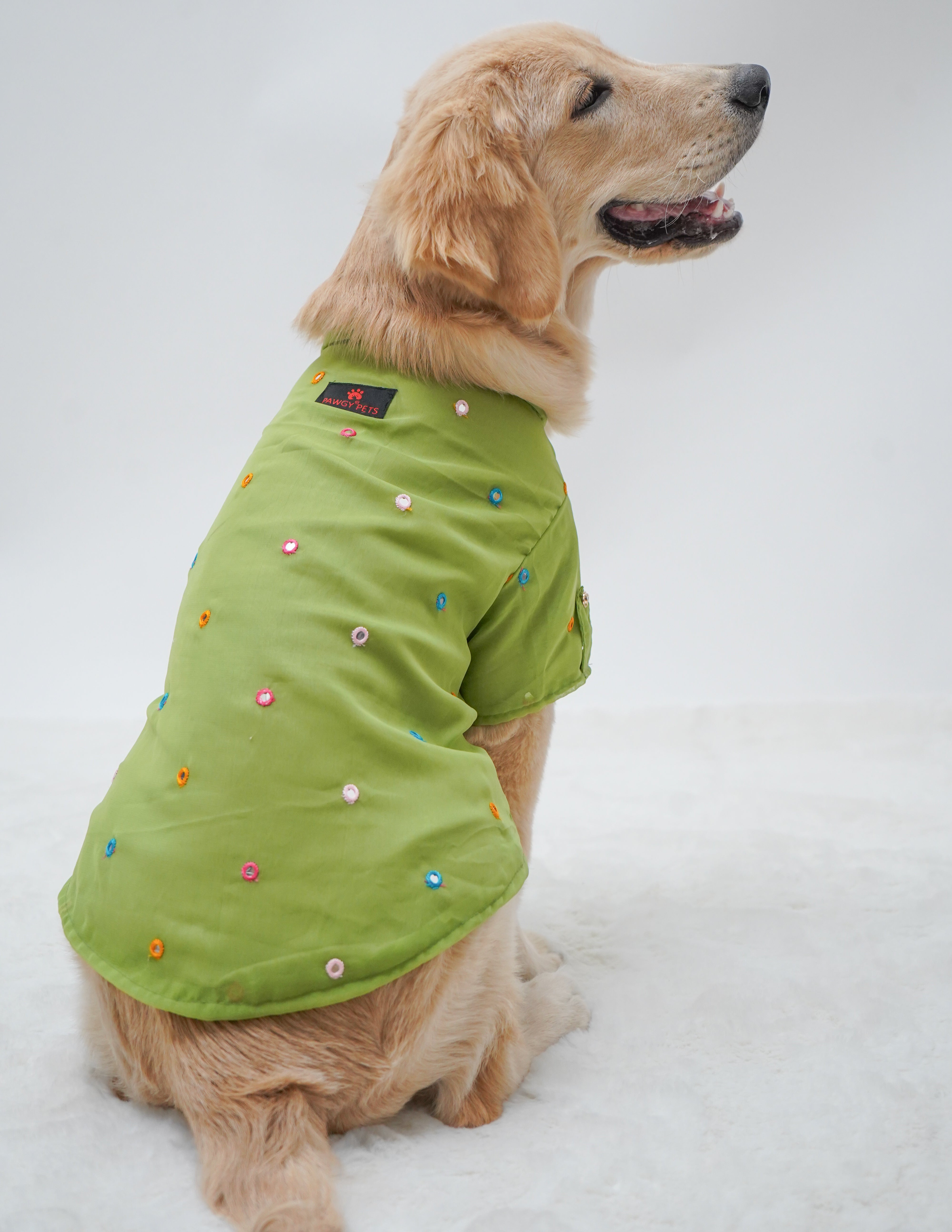 Pawgy Pets Festive Shirt Pista Green for Dogs – image 6