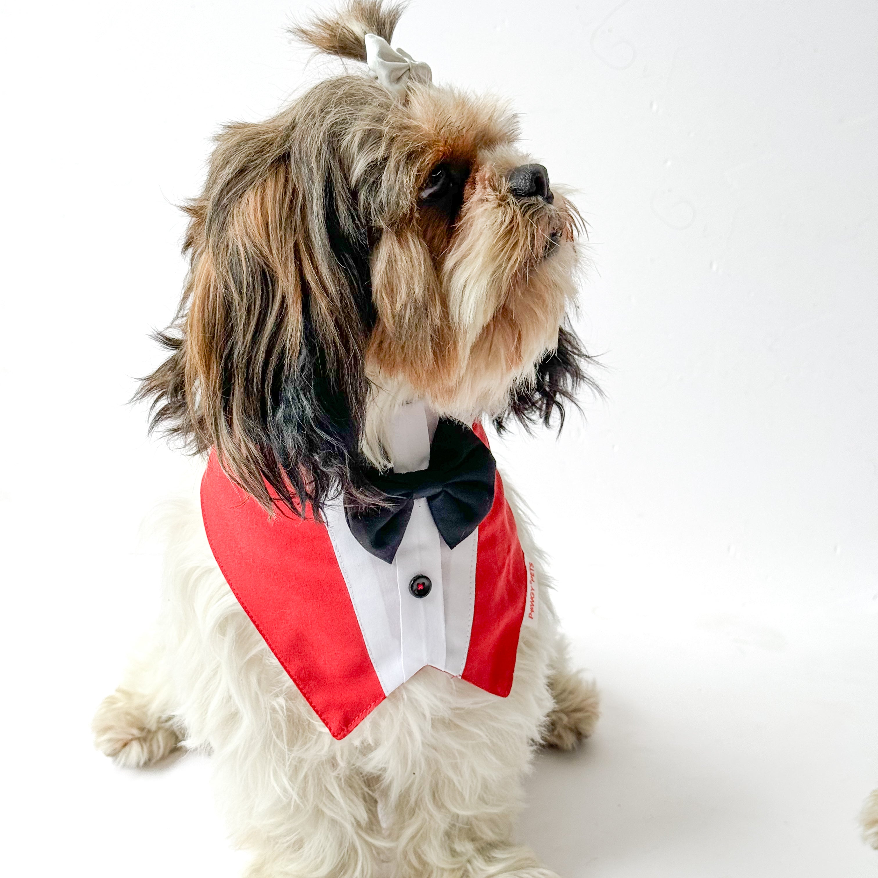 Pawgy Pets Formal Tux Bandana: Red for Dogs & Cats – image 2