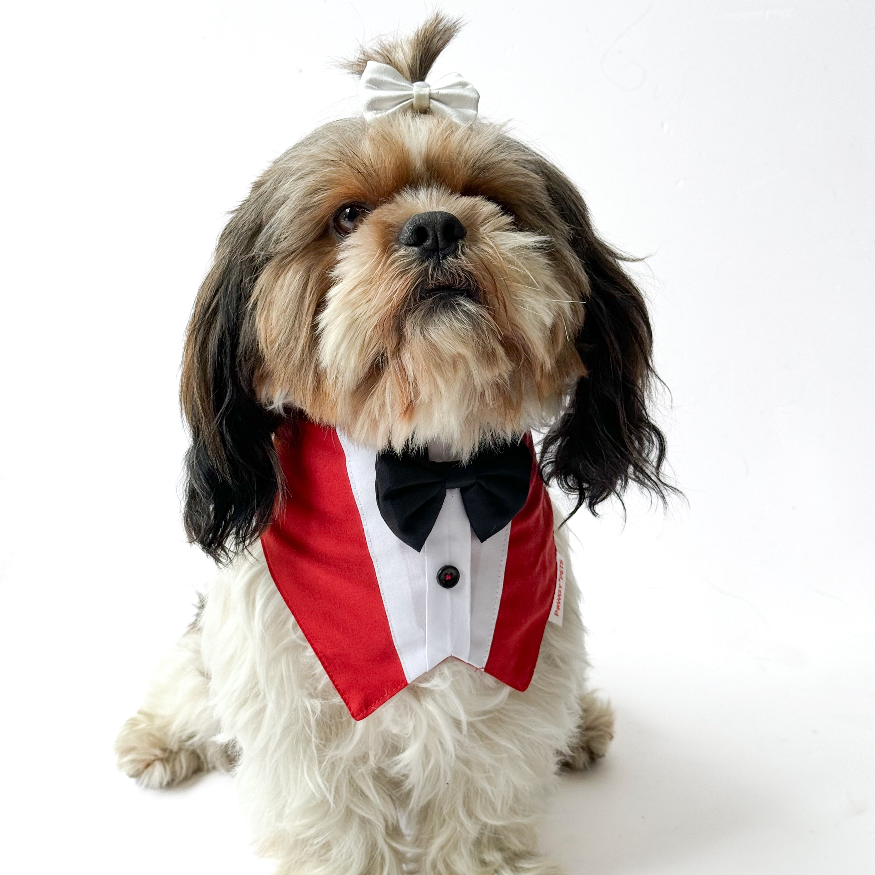 Pawgy Pets Formal Tux Bandana: Red for Dogs & Cats – image 3