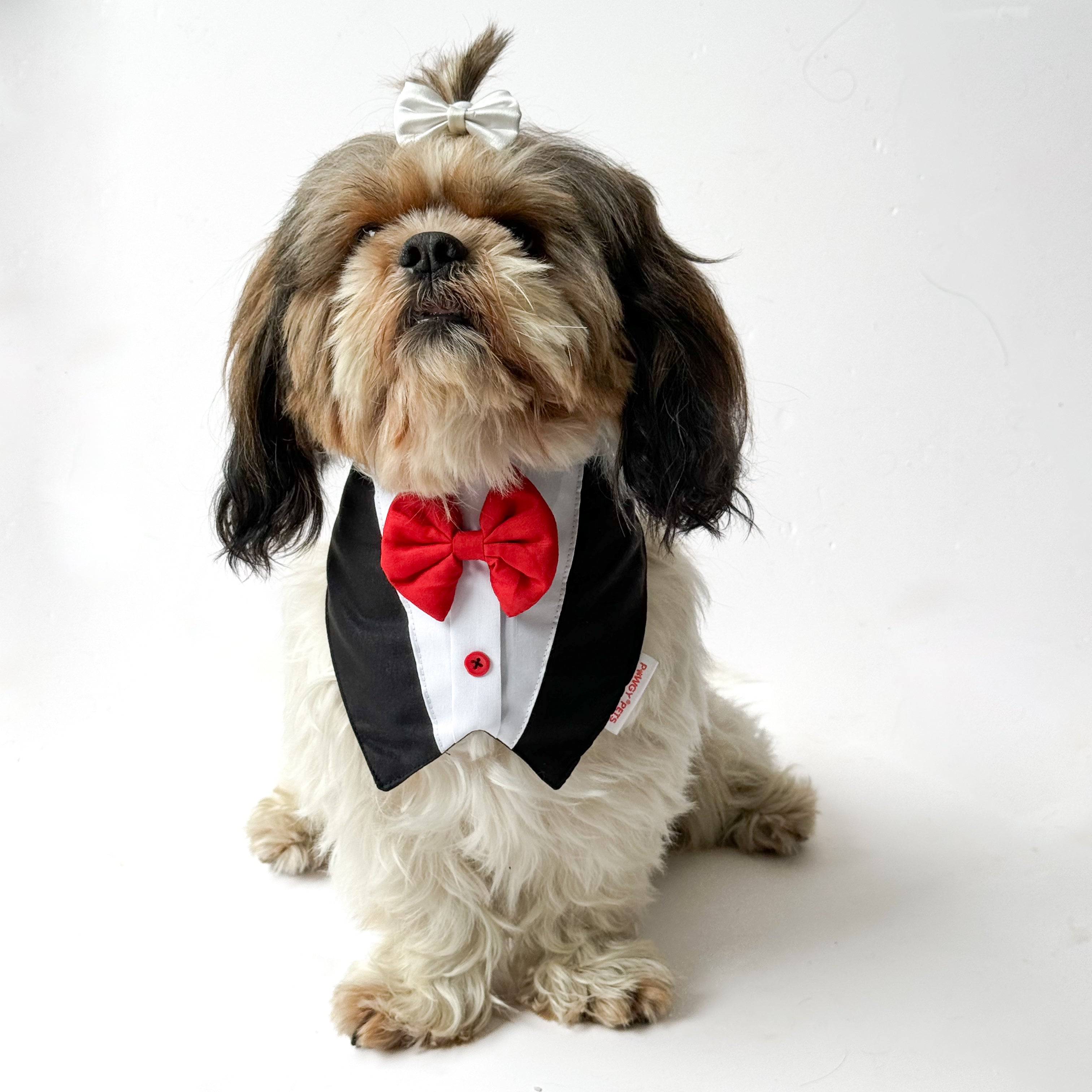 Pawgy Pets Formal Tux Bandana: Black for Dogs & Cats – image 2