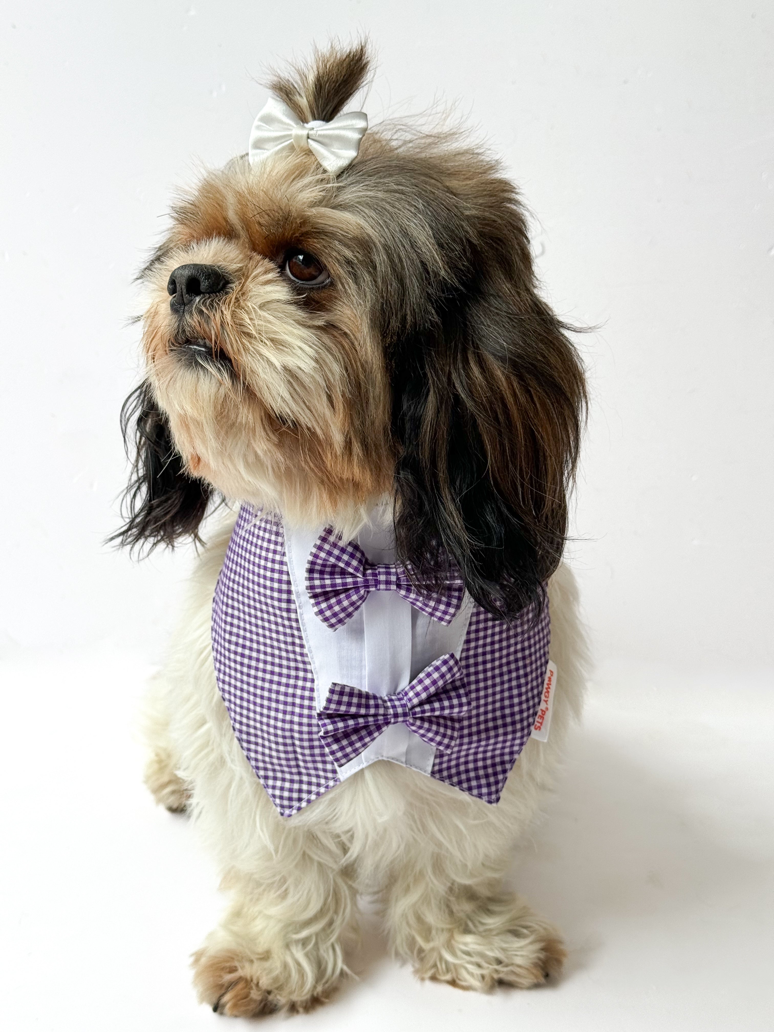 Pawgy Pets Casual Check Bandana: Purple for Dogs & Cats – image 2