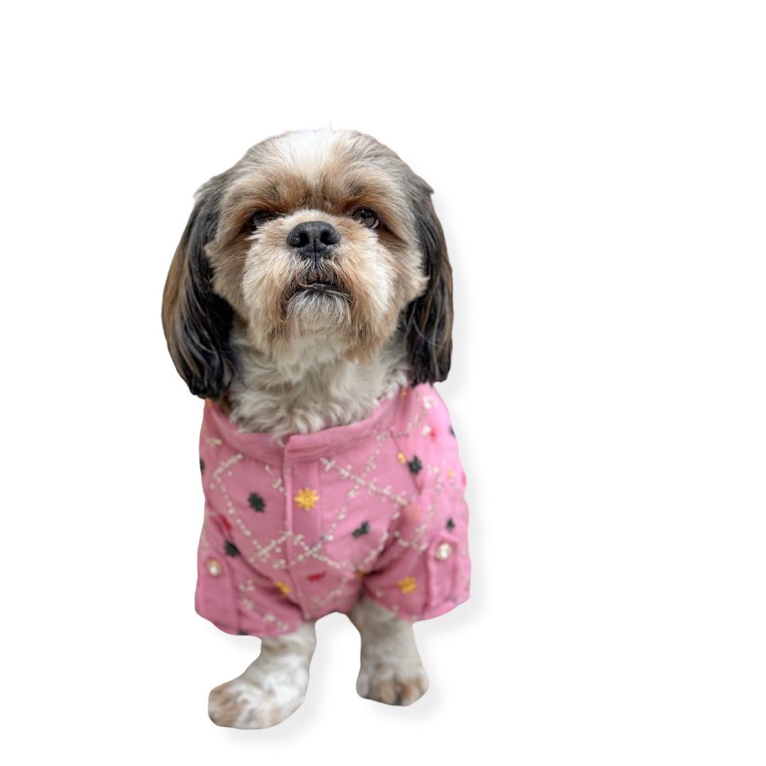Pawgy Pets Festive Shirt Pink (New) for Dogs – image 4