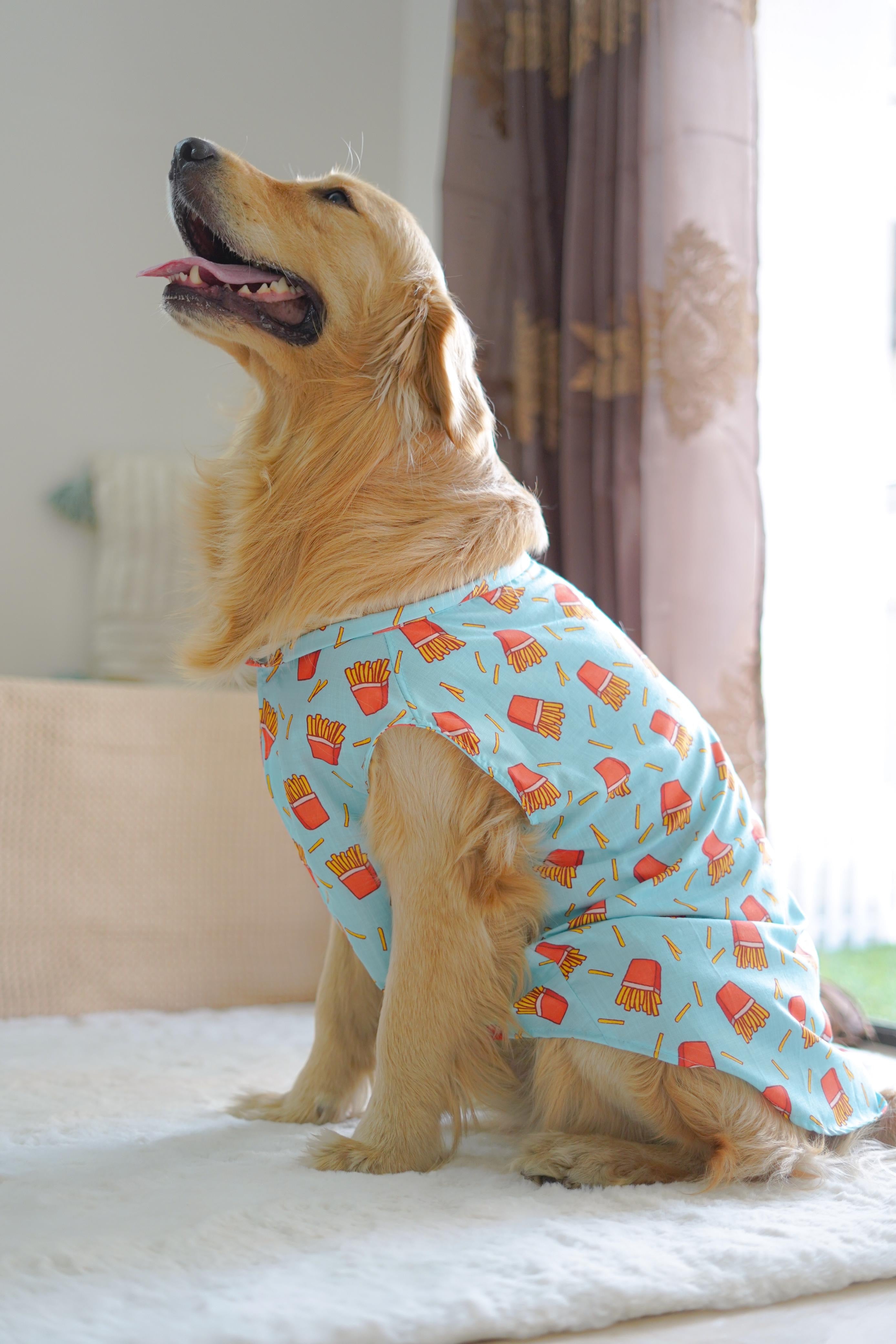 Pawgy Pets Fries over guys Sando Blue for Dogs – image 3