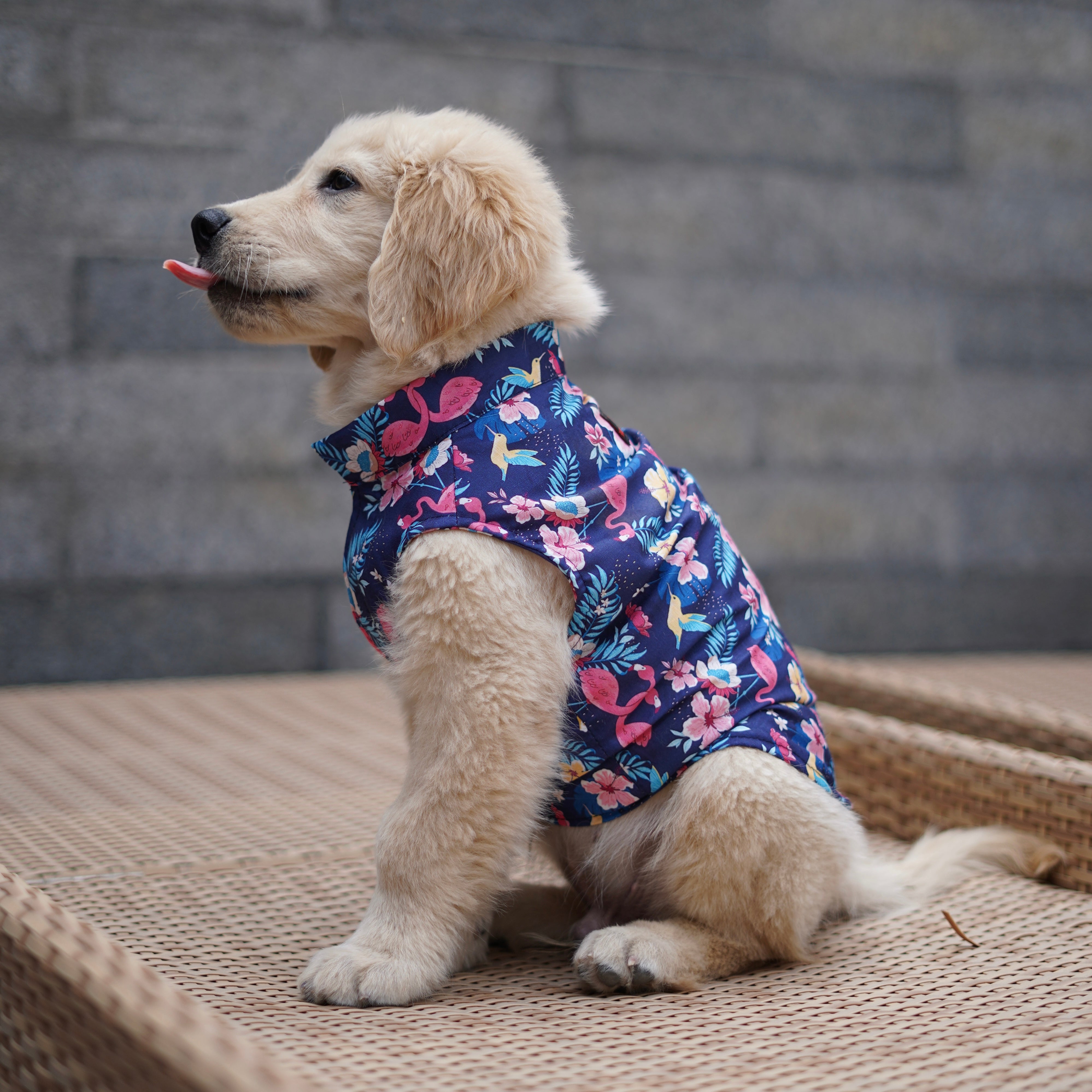 Pawgy Pets Hawaiian Flamingo Sando Navy Blue for Dogs – image 2