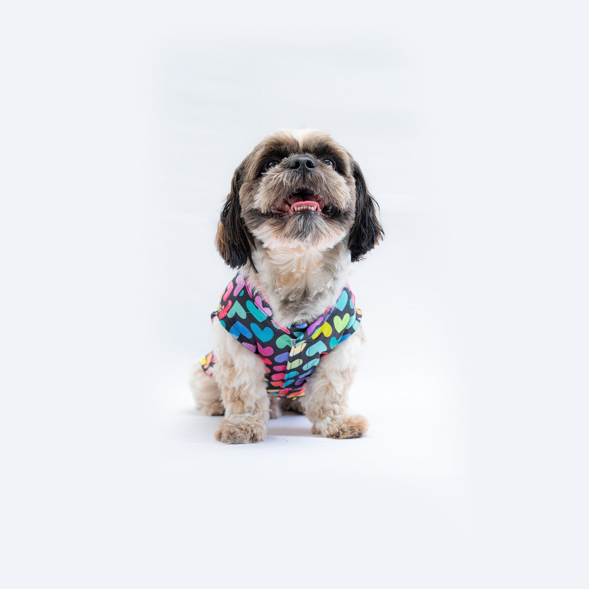 Pawgy Pets Multi Heart Sando for Dogs – image 2