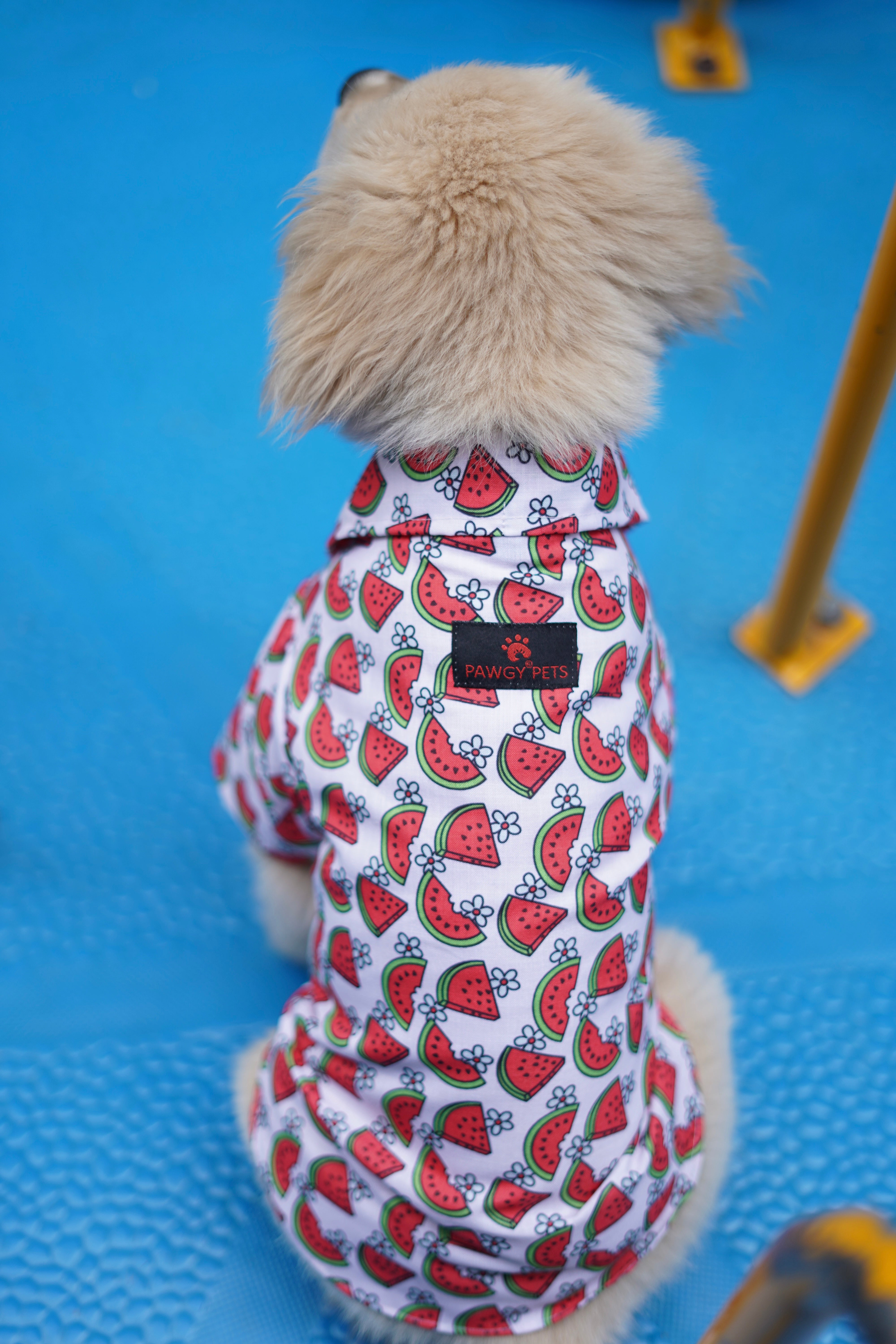 Pawgy Pets Daisy Melon Shirt Pink for Dogs – image 2
