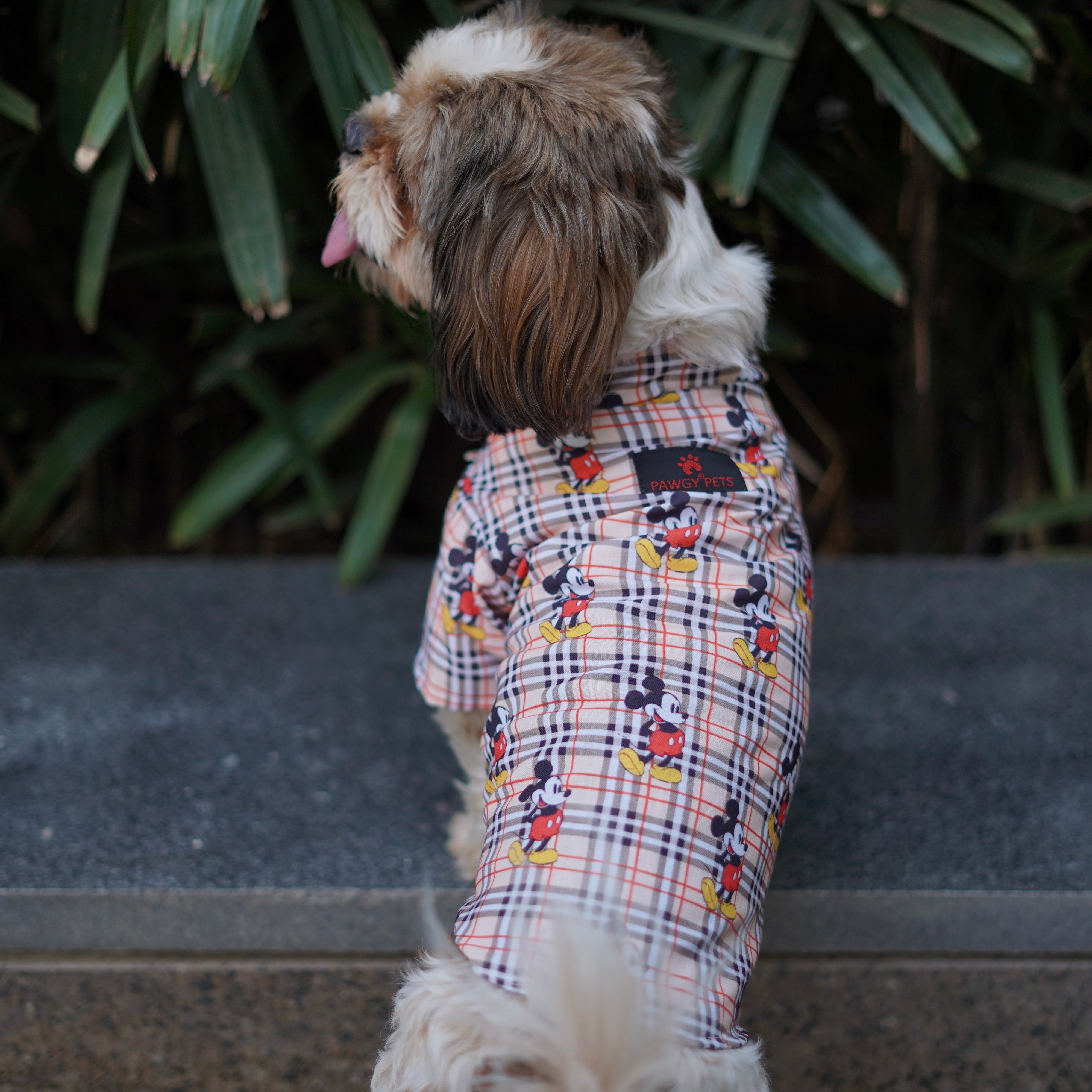 Pawgy Pets Mickey Check Shirt Beige for Dogs – image 4
