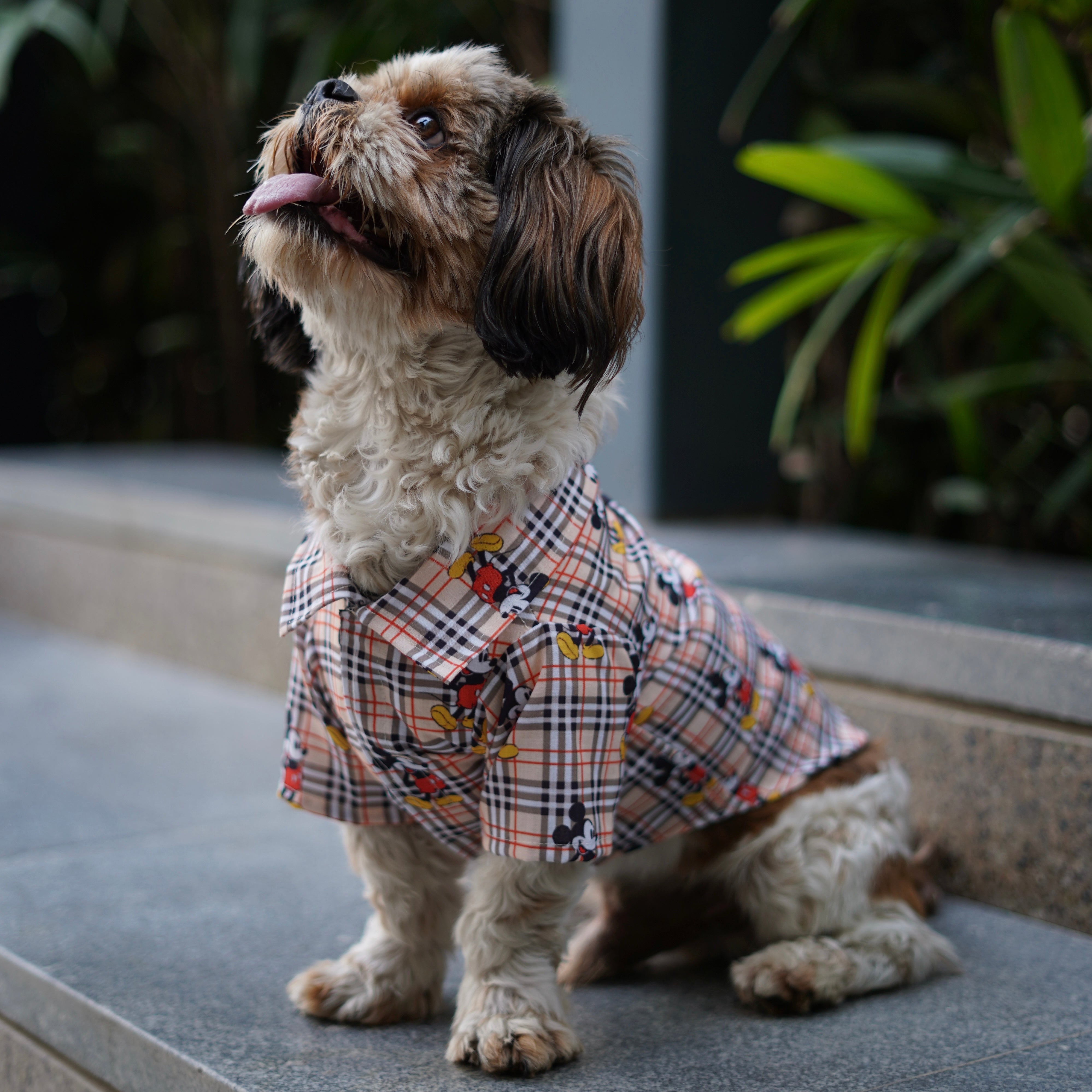 Pawgy Pets Mickey Check Shirt Beige for Dogs – image 2