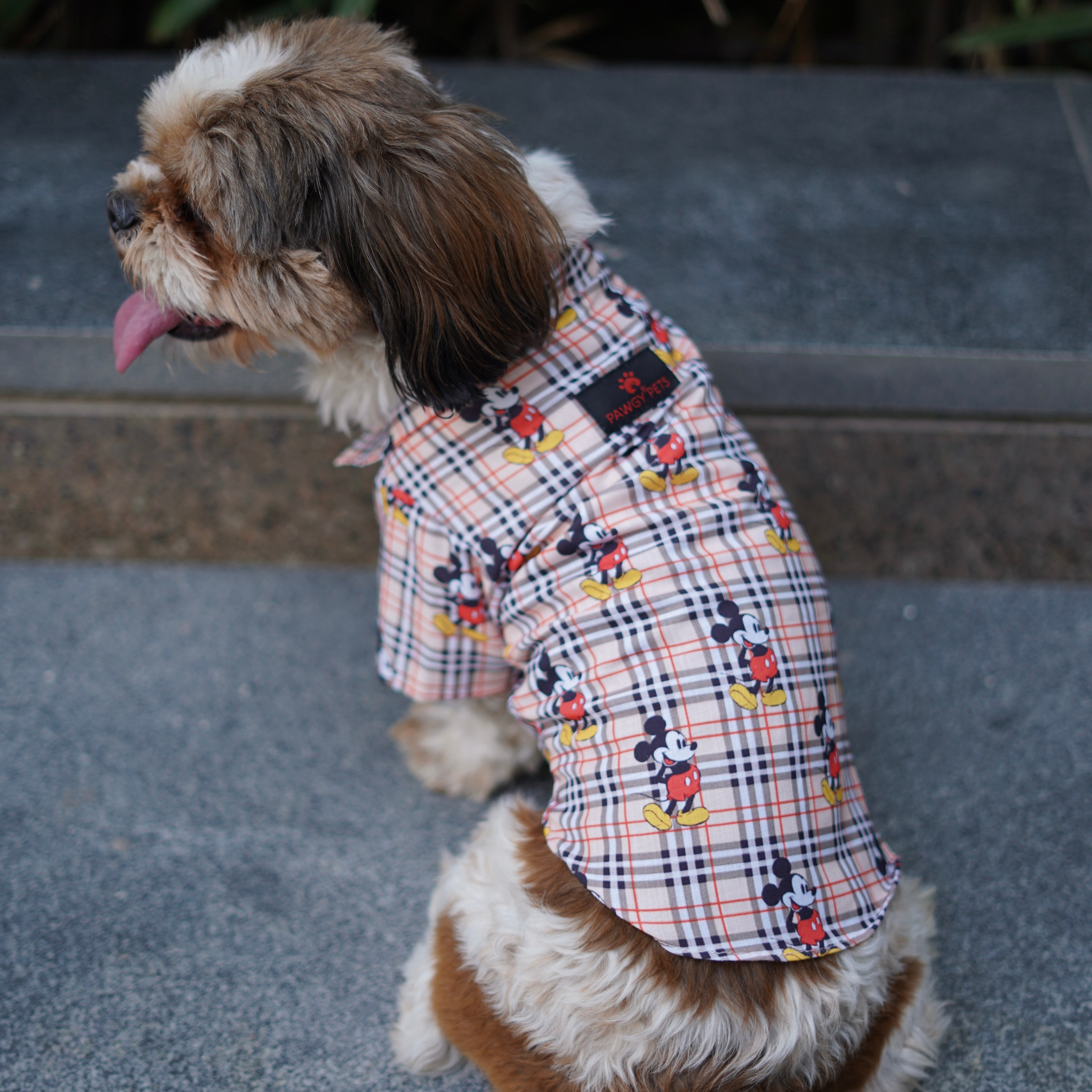 Pawgy Pets Mickey Check Shirt Beige for Dogs – image 3