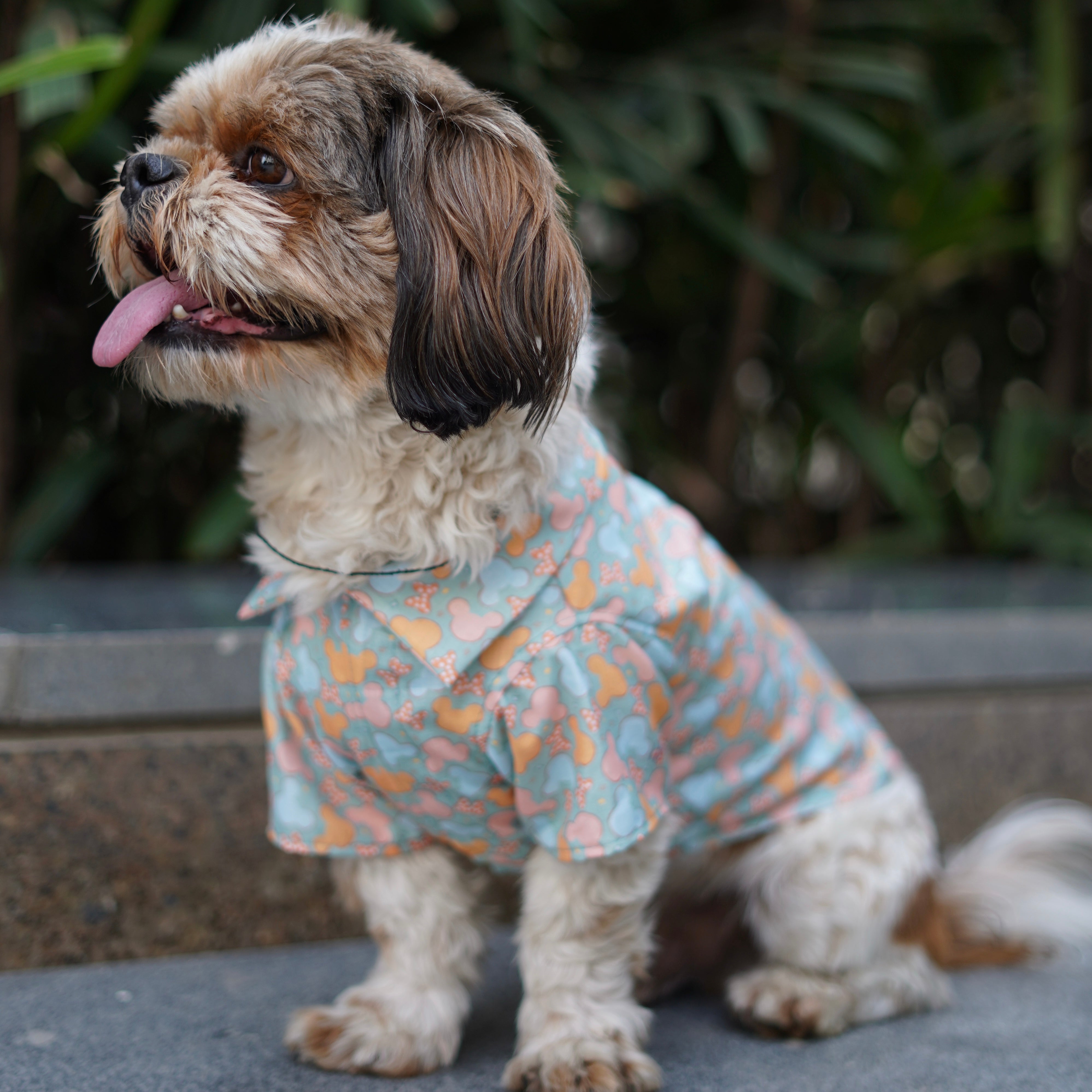 Pawgy Pets Mickey Overloaded Shirt Pastel Green for Dogs – image 2