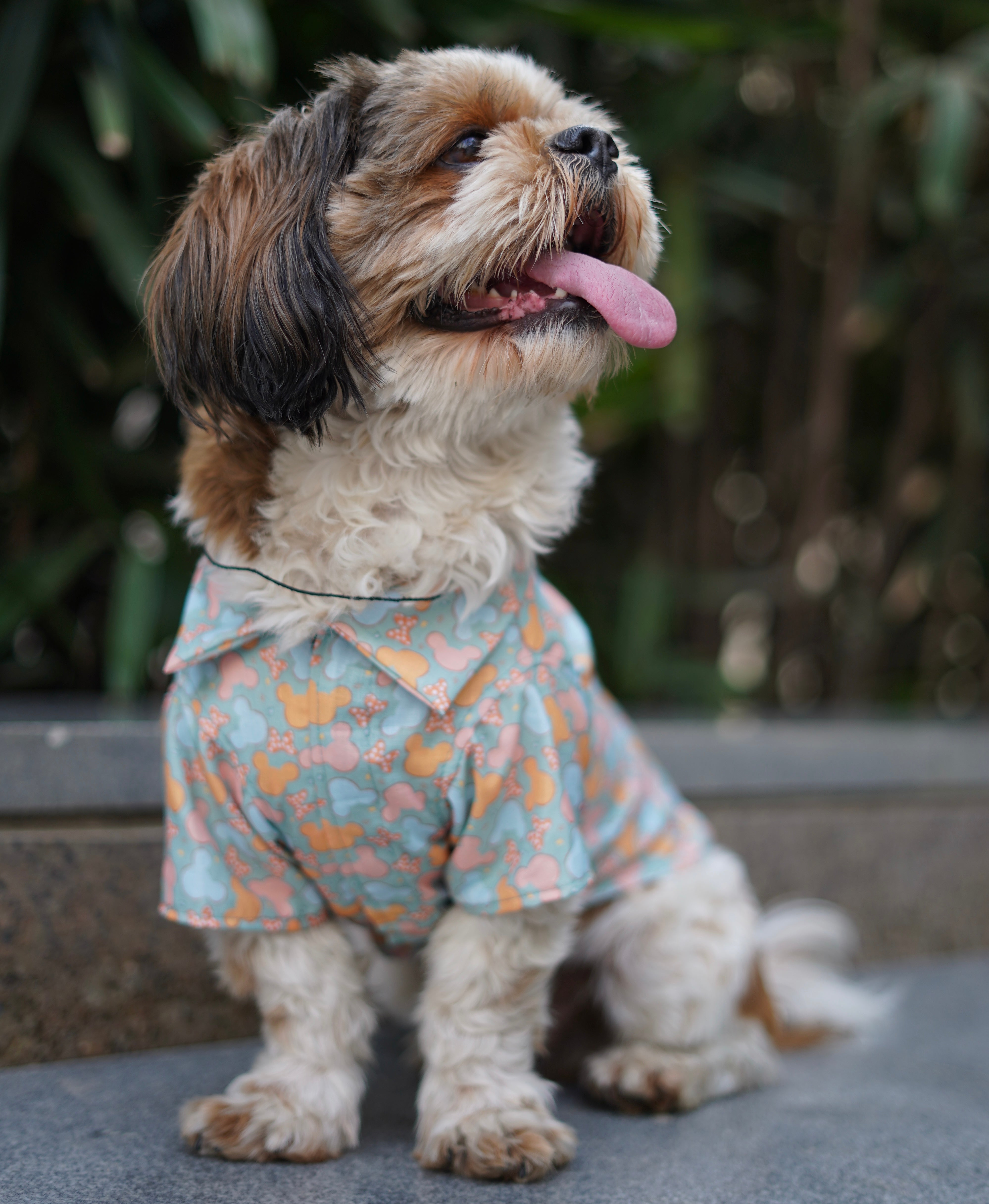 Pawgy Pets Mickey Overloaded Shirt Pastel Green for Dogs – image 3