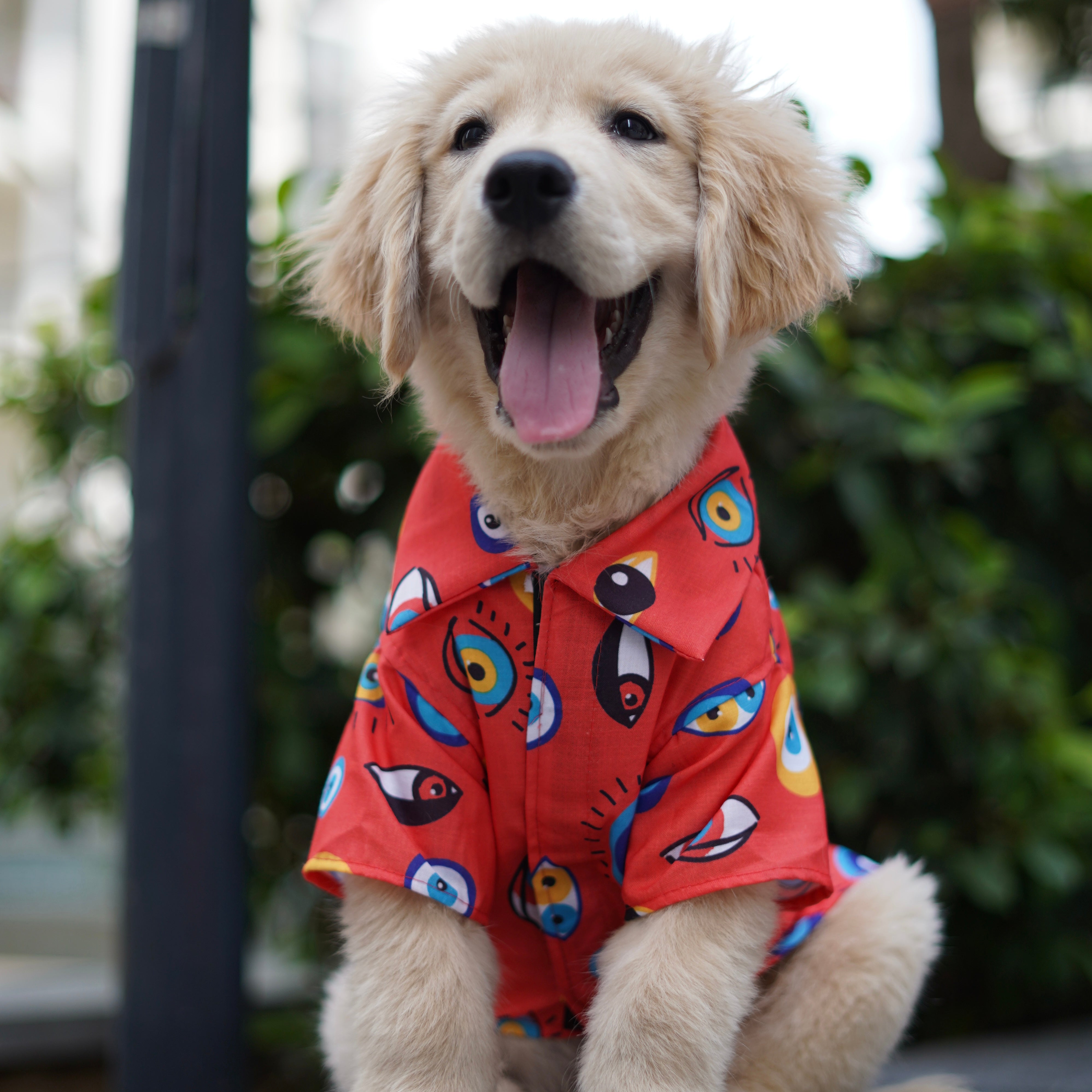 Pawgy Pets Nazar Na Lage Shirt Red for Dogs – image 4