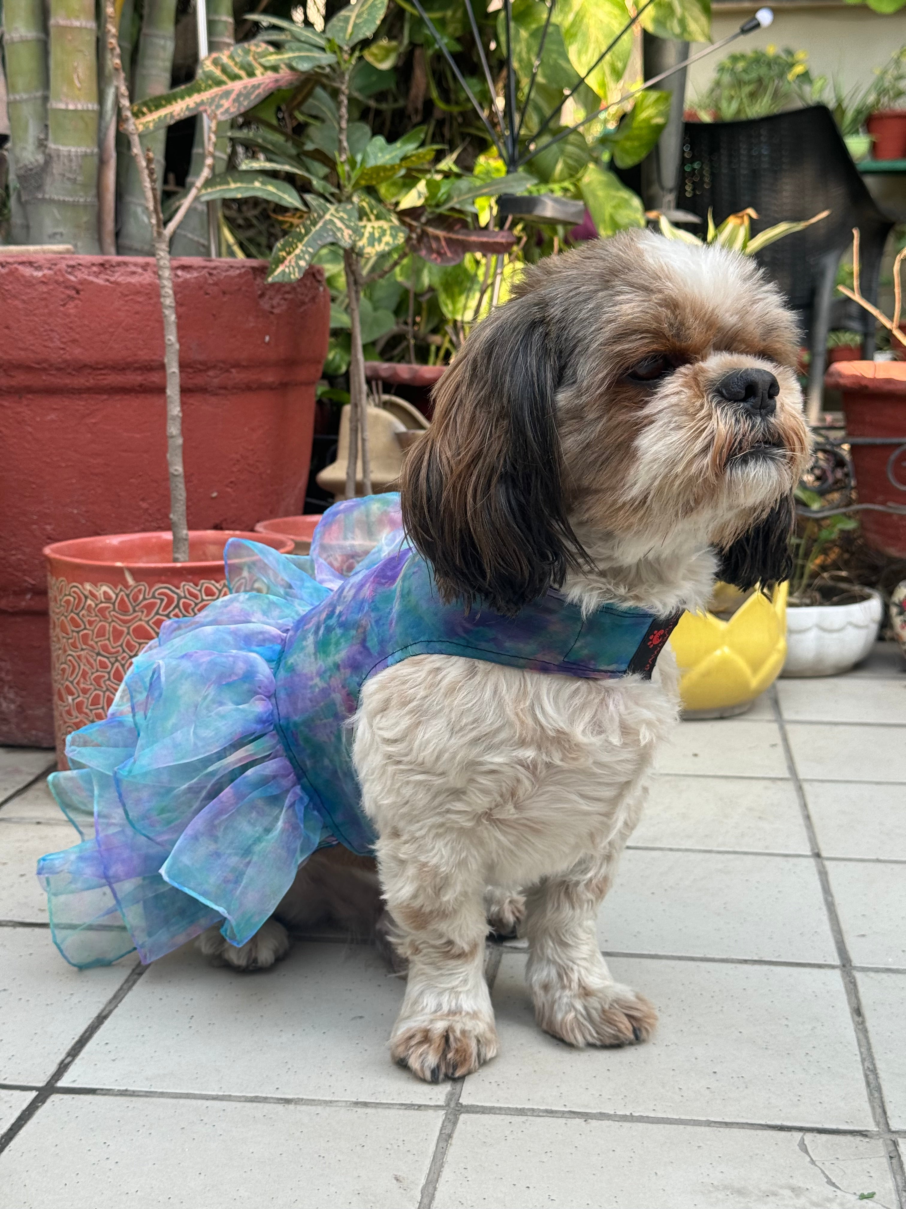 Pawgy Pets Frilly Dress Blue for Dogs – image 3