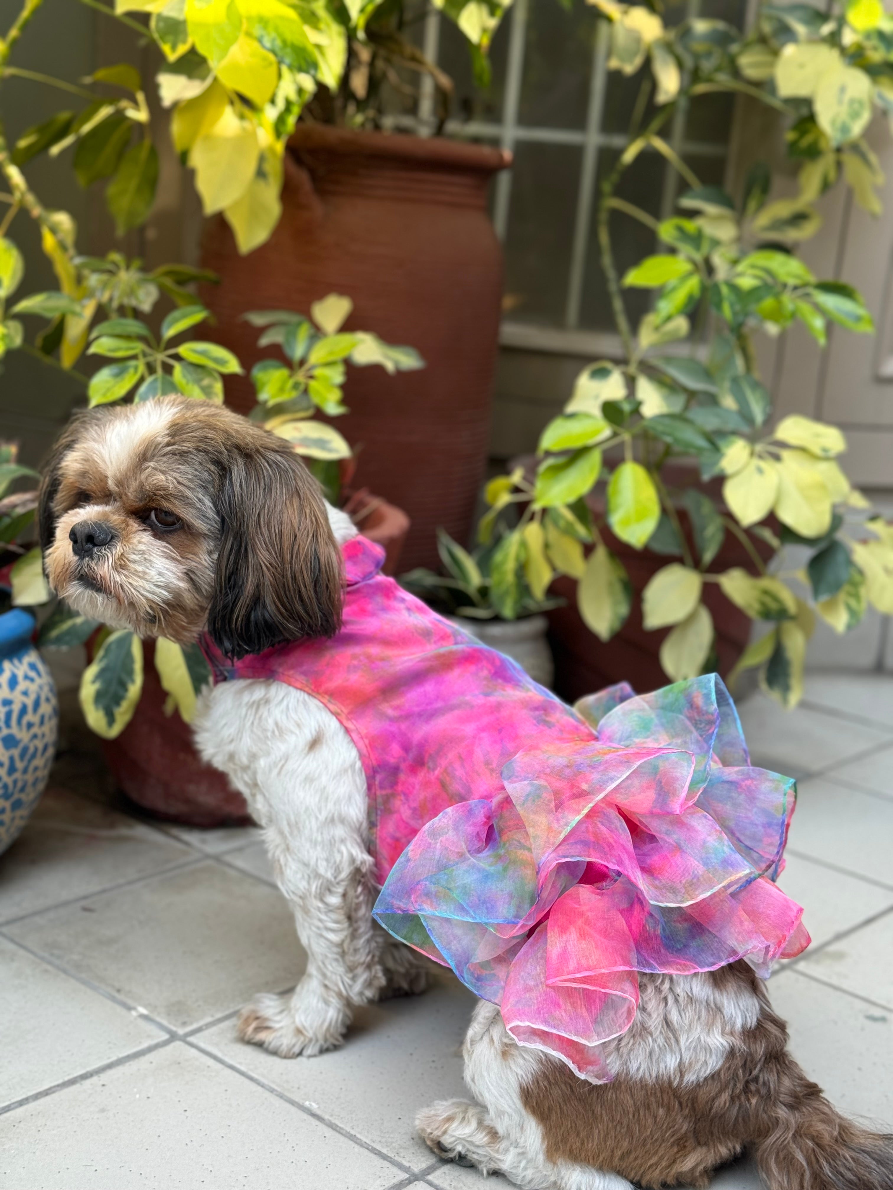 Pawgy Pets Frilly Dress Pink for Dogs – image 2