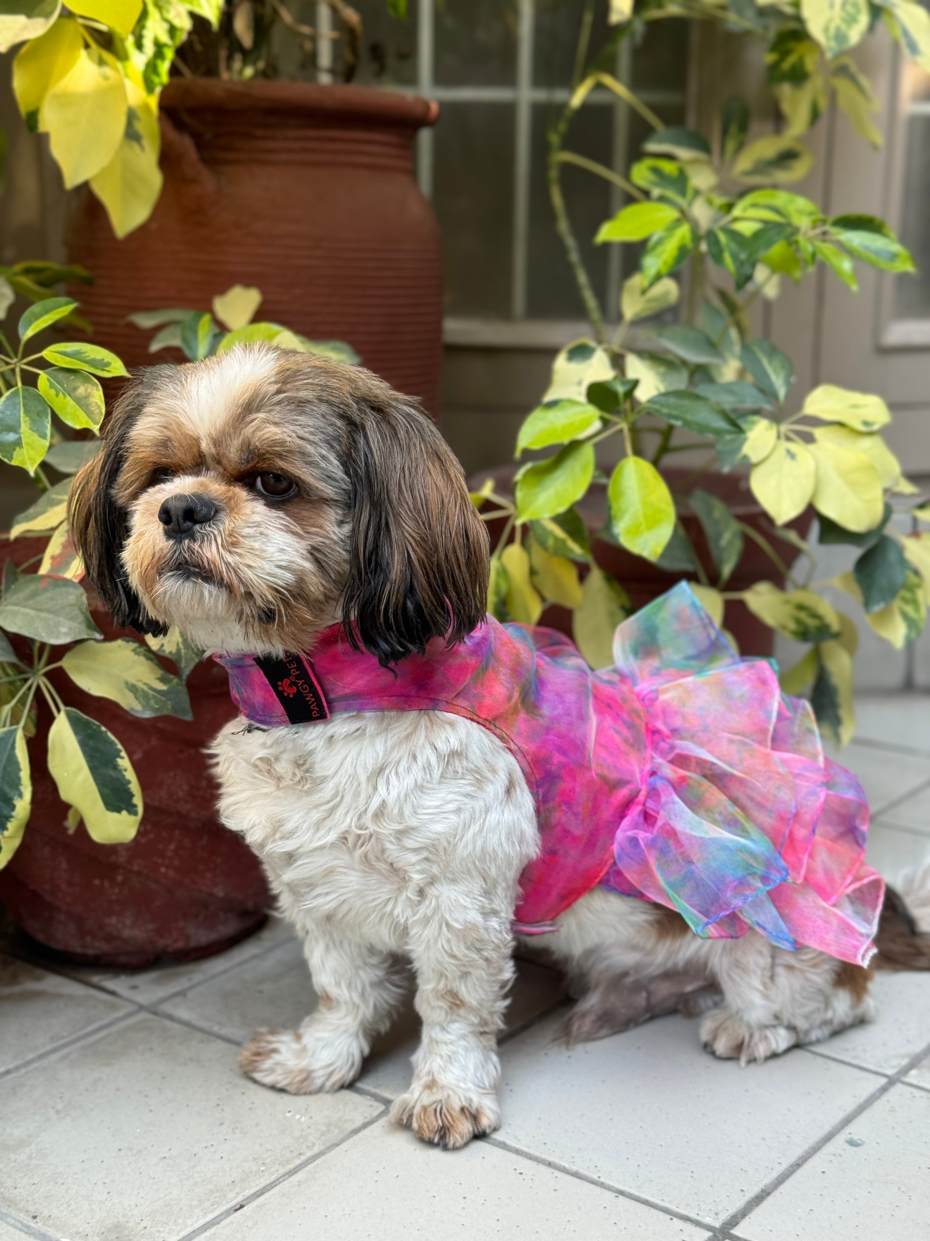 Pawgy Pets Frilly Dress Pink for Dogs – image 3