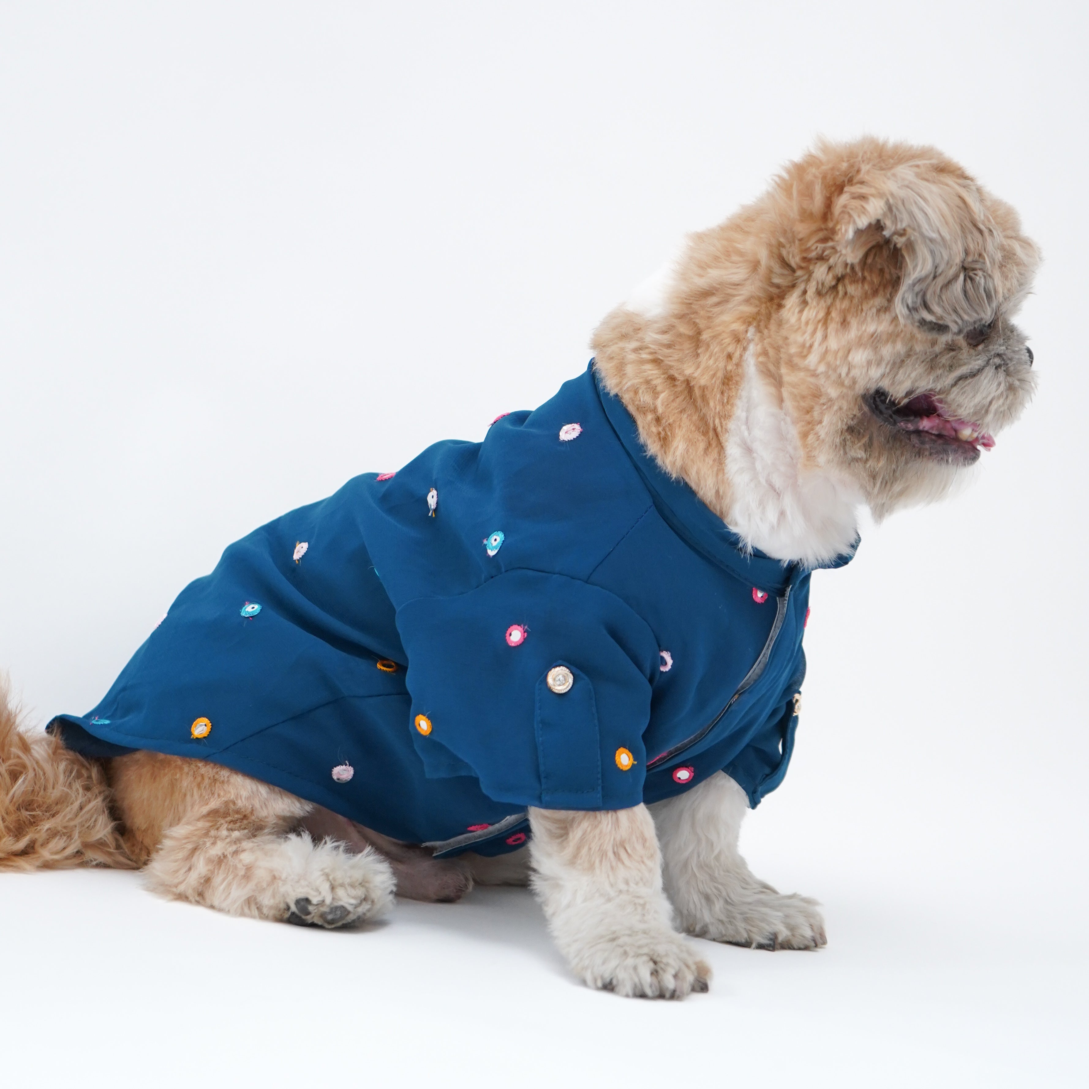 Pawgy Pets Festive Shirt Peacock Blue for Dogs – image 3