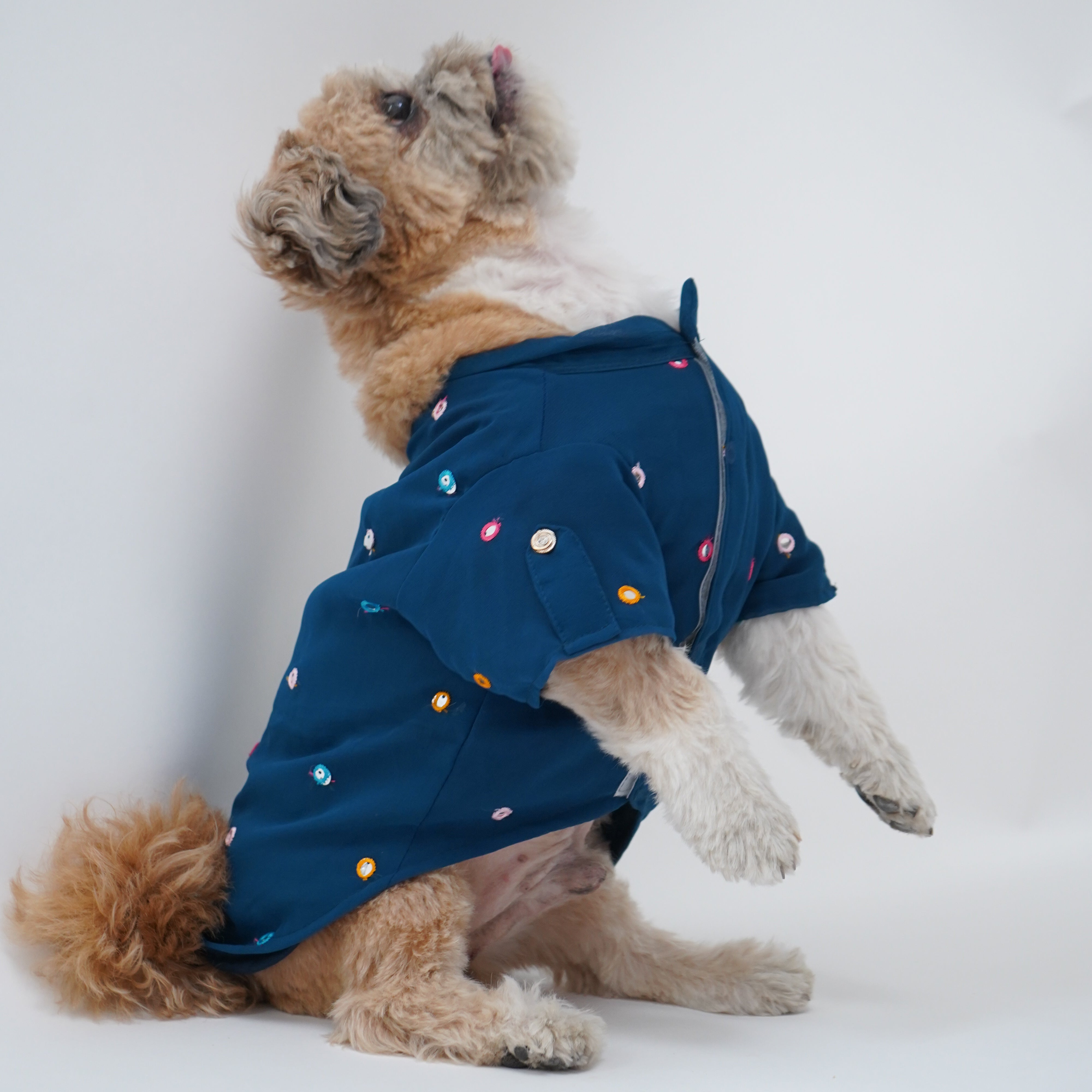 Pawgy Pets Festive Shirt Peacock Blue for Dogs – image 2