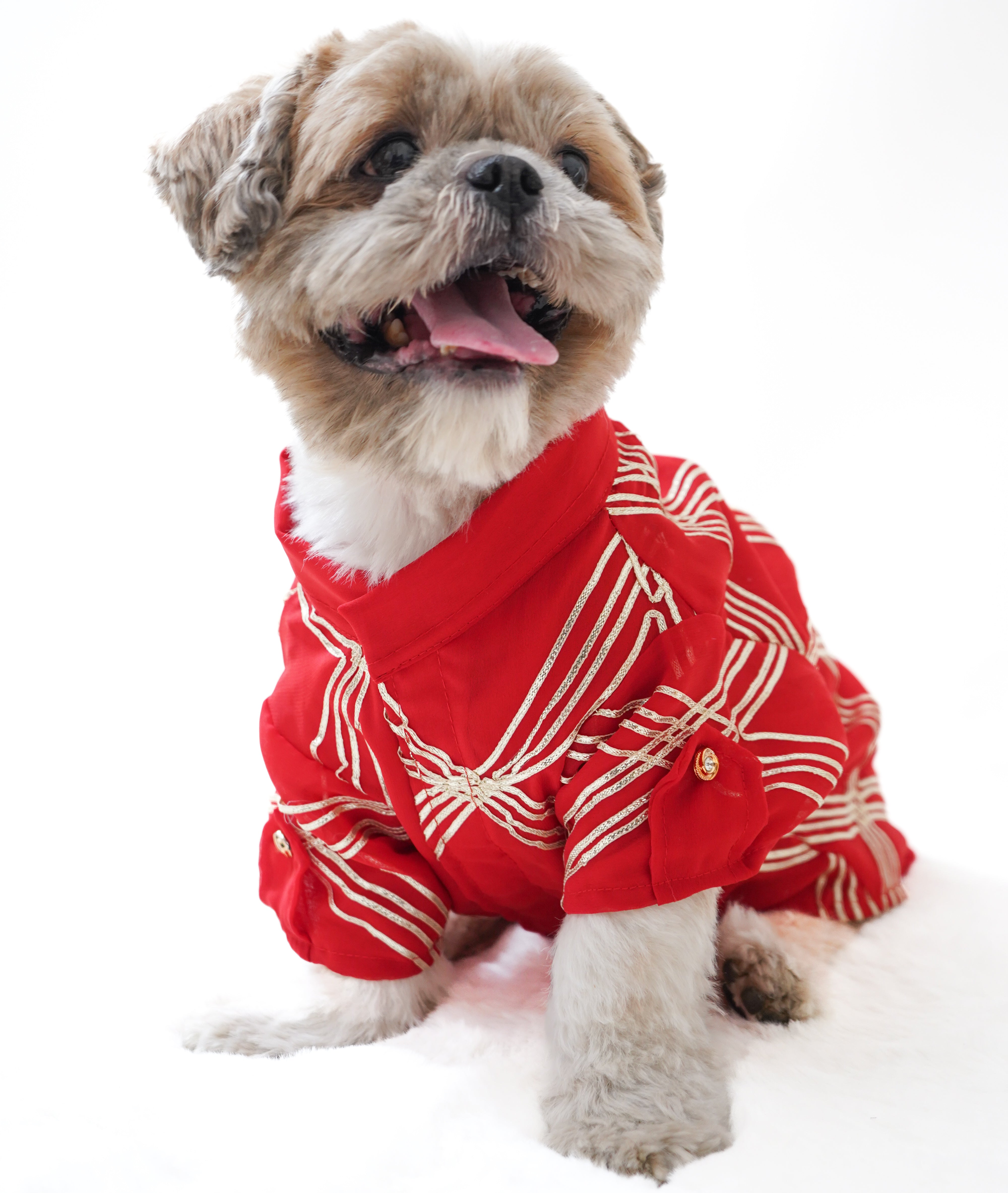 Pawgy Pets Festive Shirt Red Gota for Dogs – image 2