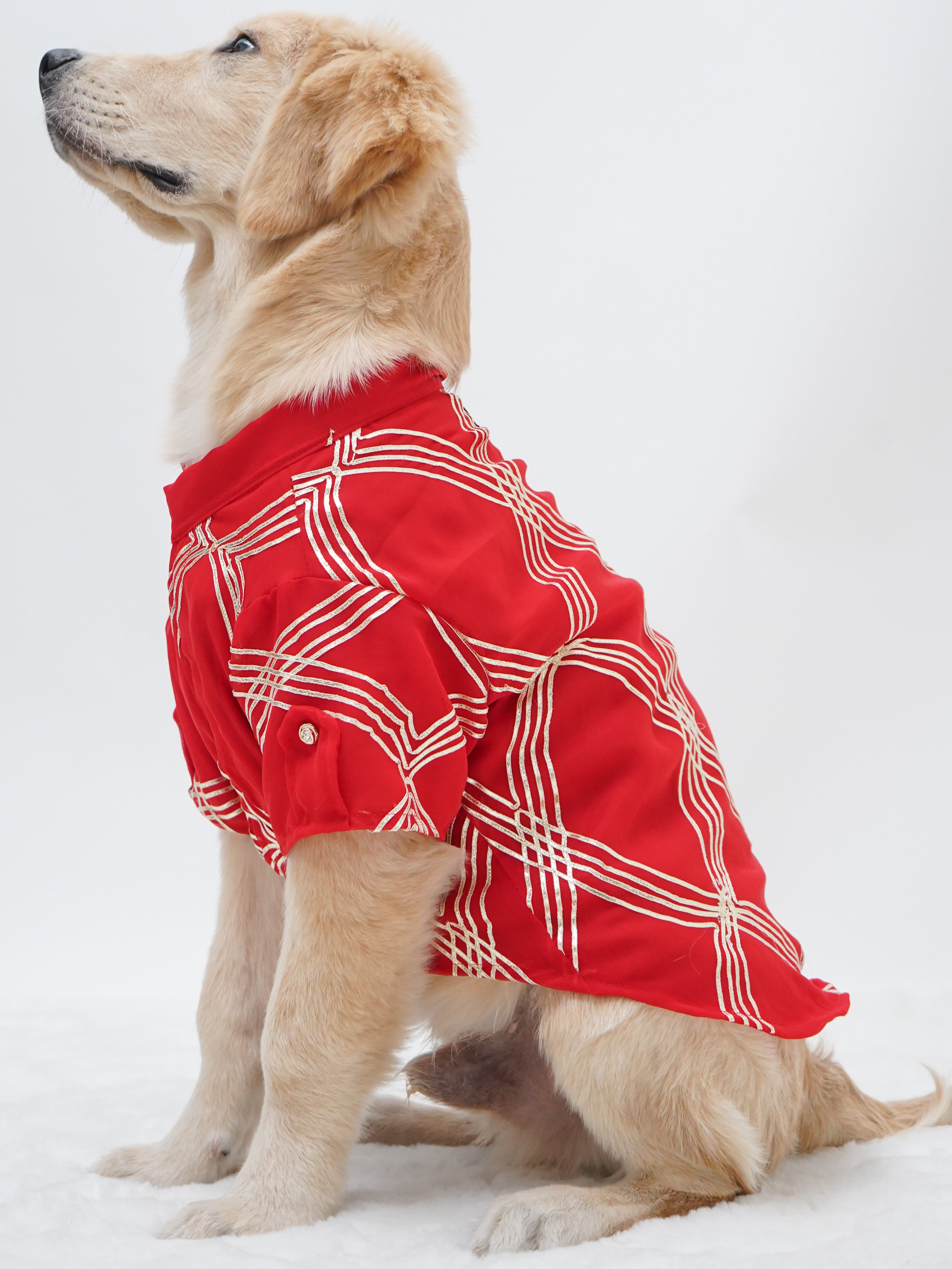 Pawgy Pets Festive Shirt Red Gota for Dogs – image 4