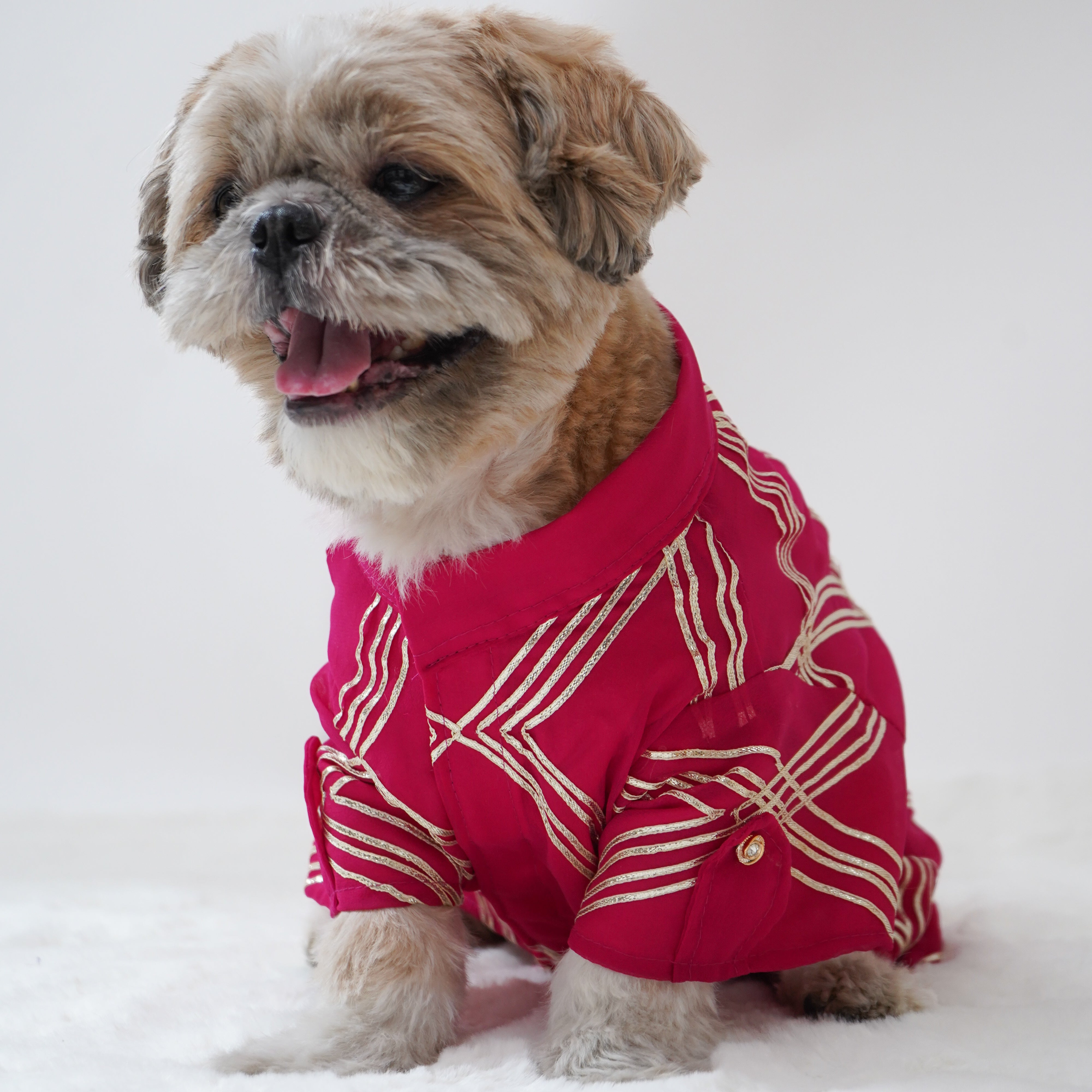 Pawgy Pets Festive Shirt Hot Pink Gota for Dogs – image 3