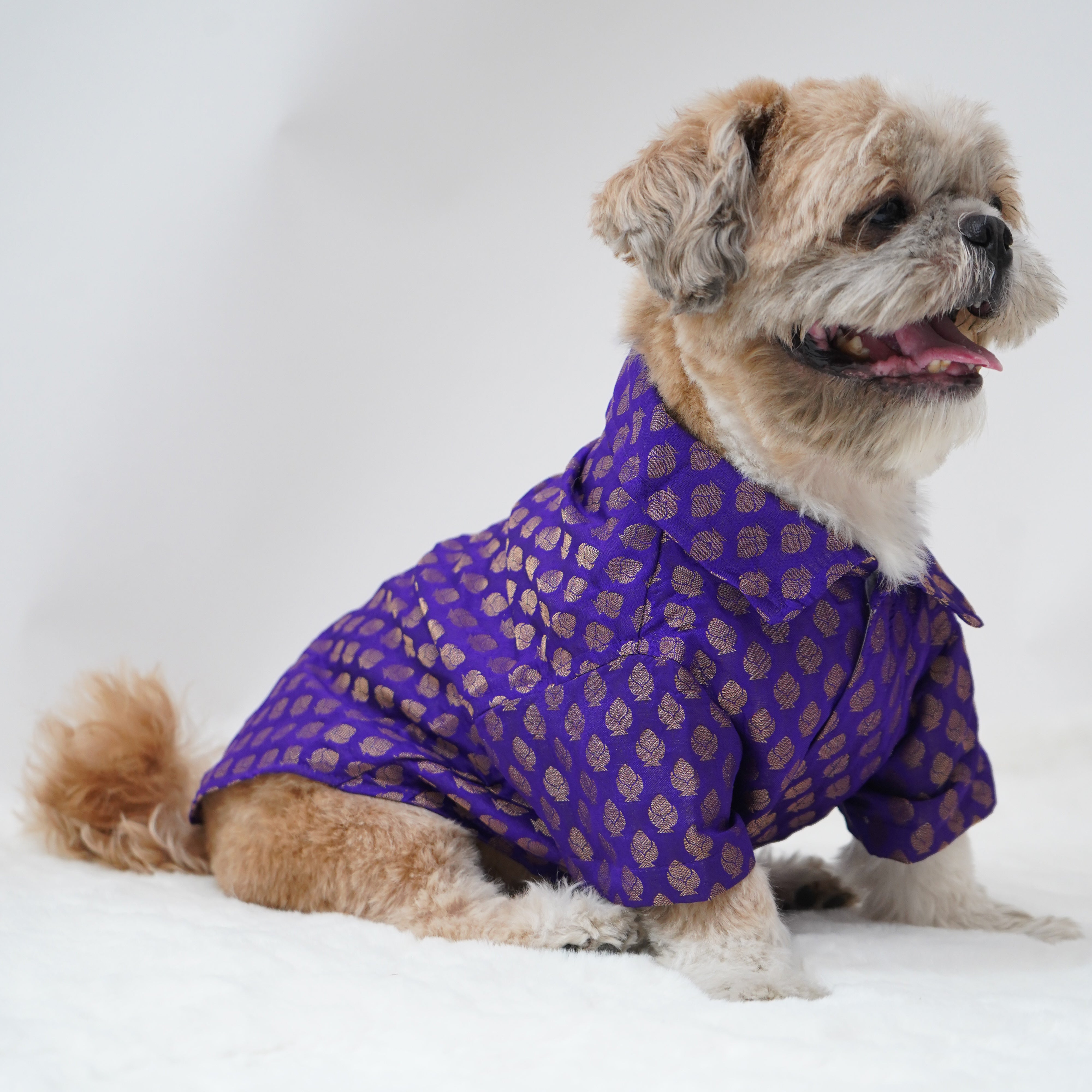Pawgy Pets Occasion Wear Shirt Purple for Dogs – image 2